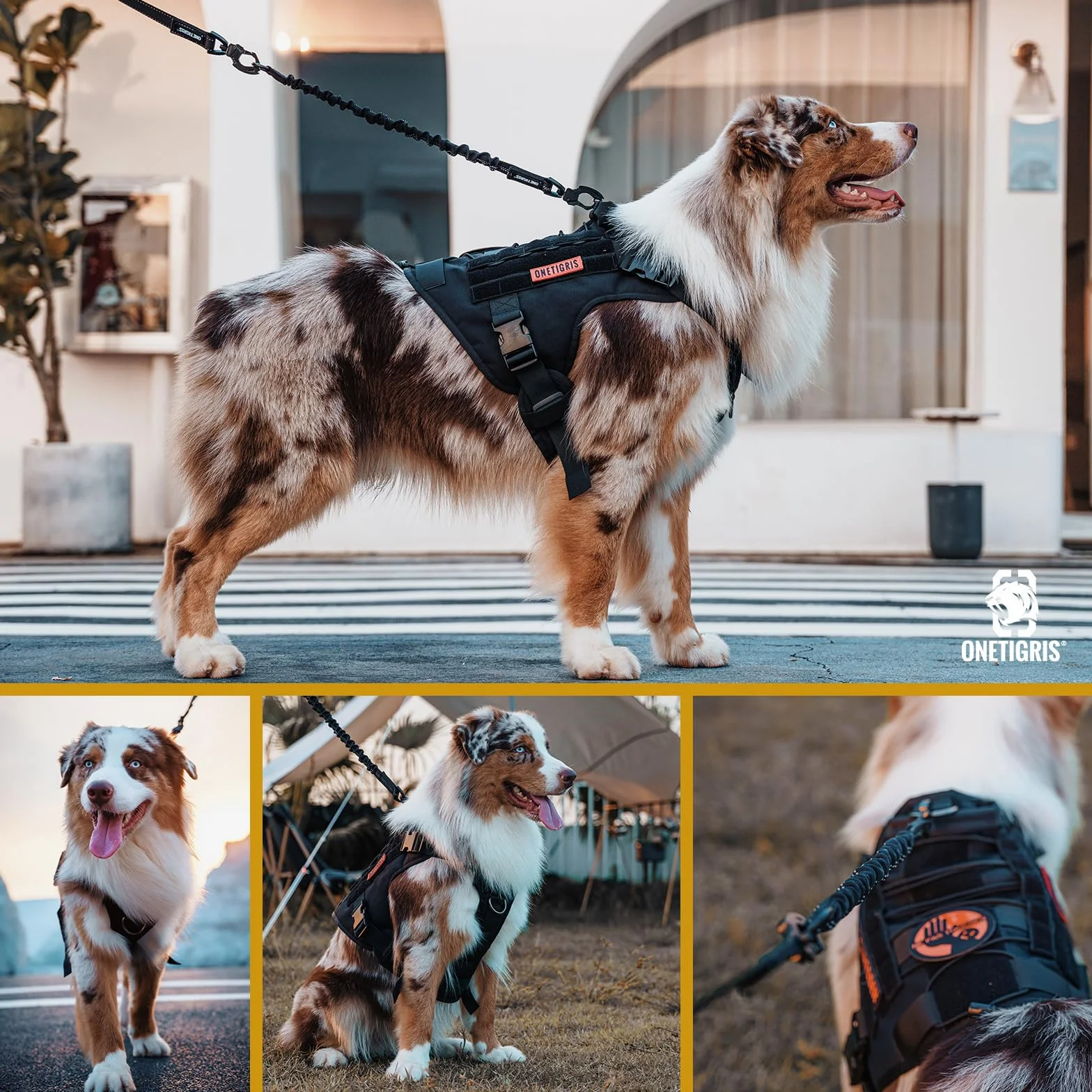 OneTigris Ammortizzatore per cani, 51 cm, guinzaglio in nylon con denti di tigre, clip in metallo, estensione in lino, riflettente per passeggiate, ciclismo