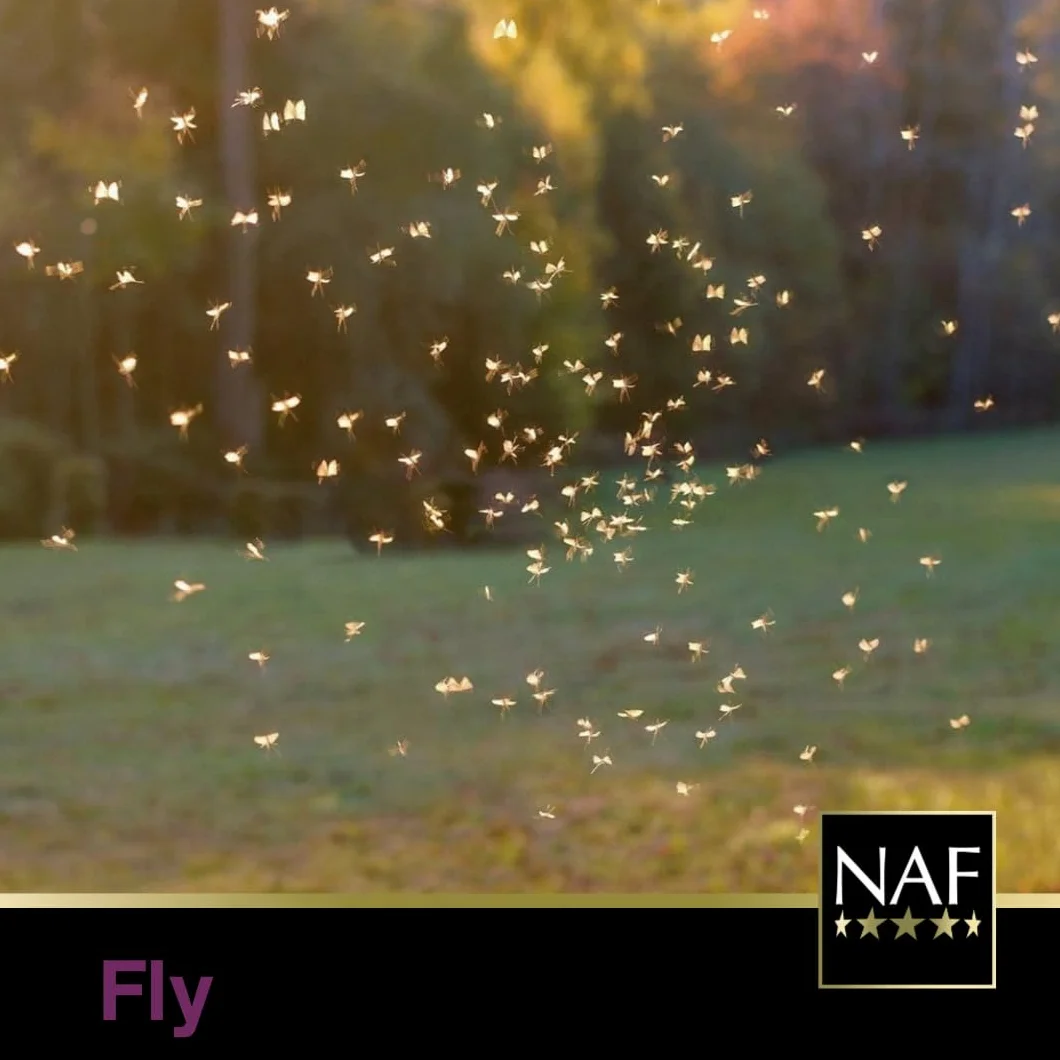 Natural Animal Feeds NAF off Gel, Extra Effetto