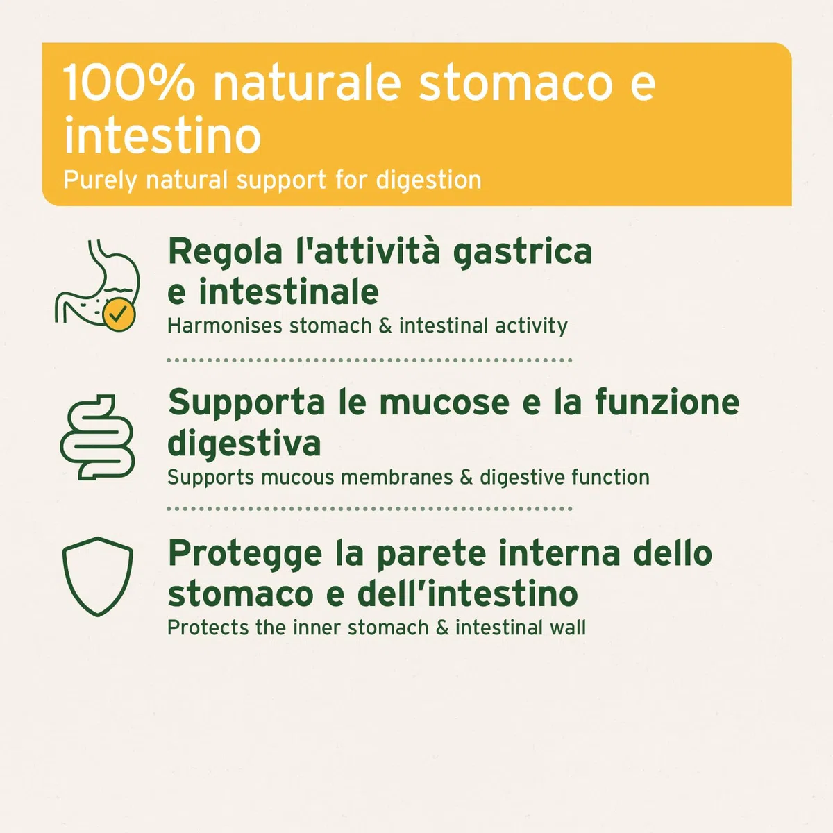 AniForte American Elm Bark Powder 100g - Slippery Elm Bark Powder Naturale per Cani e Gatti, Benessere del Tratto gastrointestinale, Supporto della Flora intestinale, apporto di vitamine