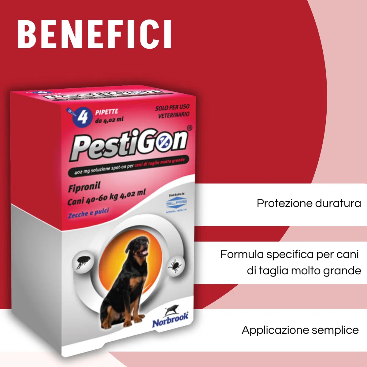 Pestigon Spot-On Pipette Antiparassitario Cani XL (40-60 kg) - Elimina Pulci e Zecche - Protezione 4 Settimane - Facile Applicazione - Antipulci e Antizecche Cane