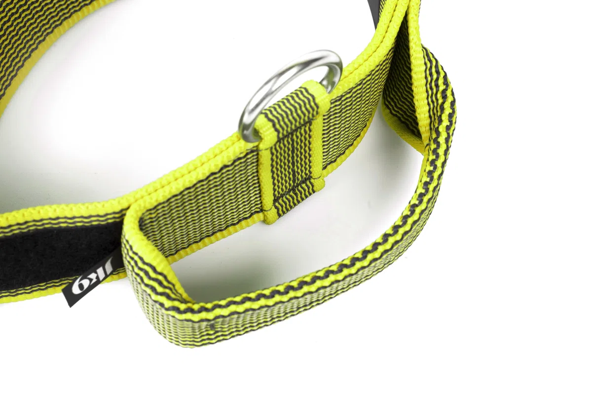 Julius-K9 Collare Color & Gray con Manico richiudibile, Chiusura di Sicurezza ed Adesivi intercambiabili, 50 mm (49-70 cm), Neon-Grigio