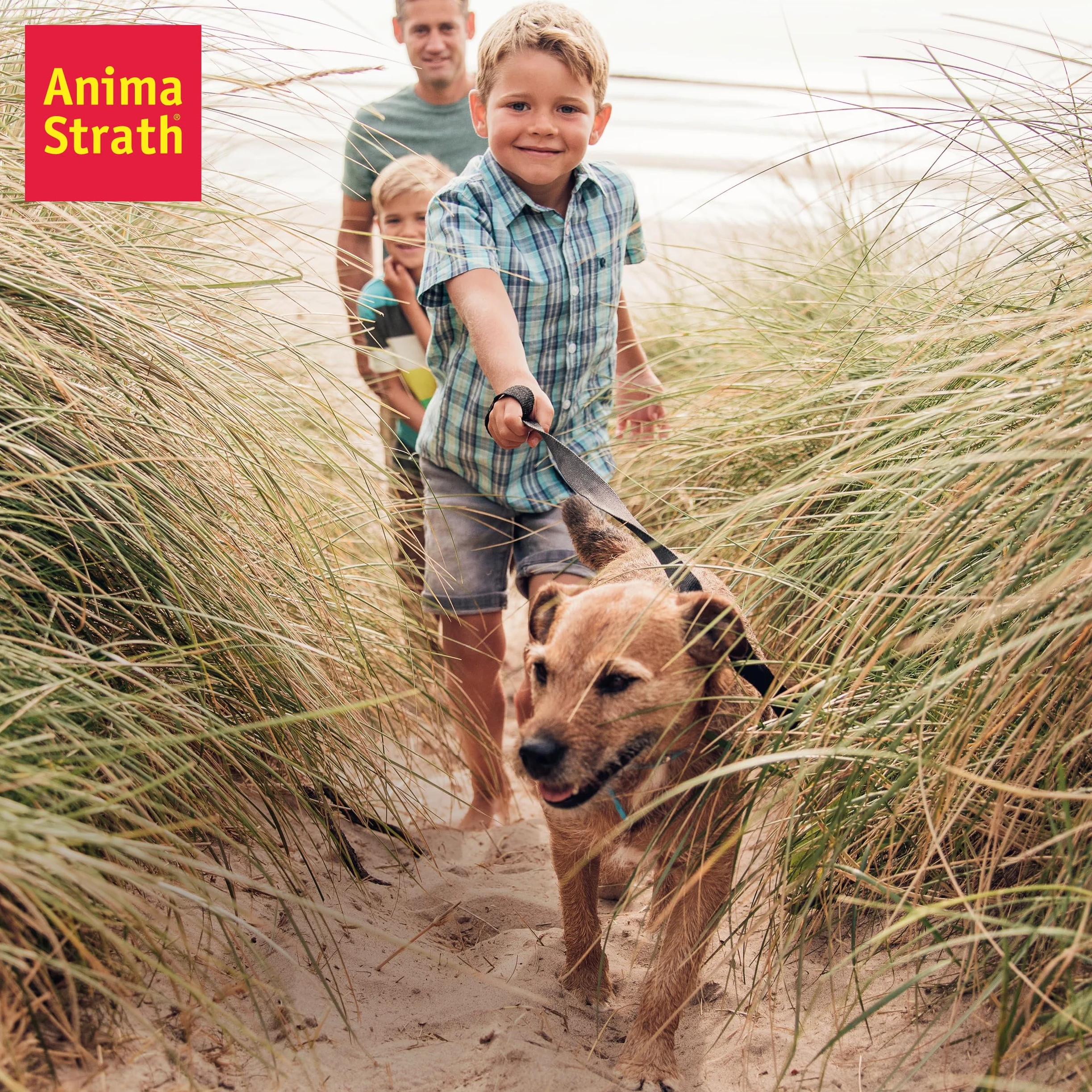 Anima Strath Integratore Tavolette per Cani - (80 Compresse) 61 Nutrienti, Vitamine, Minerali, Aminoacidi, Integratore Naturale per il Sistema Immunitario e la Digestione.