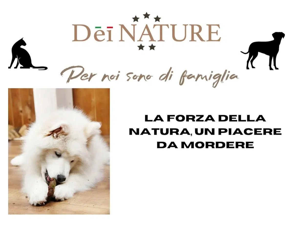 Pelle di Testa di Bovino Naturale, strisce da 12 cm-Masticativo per Cani, CONFEZIONE DA 1 KG -Adatto dieta barf