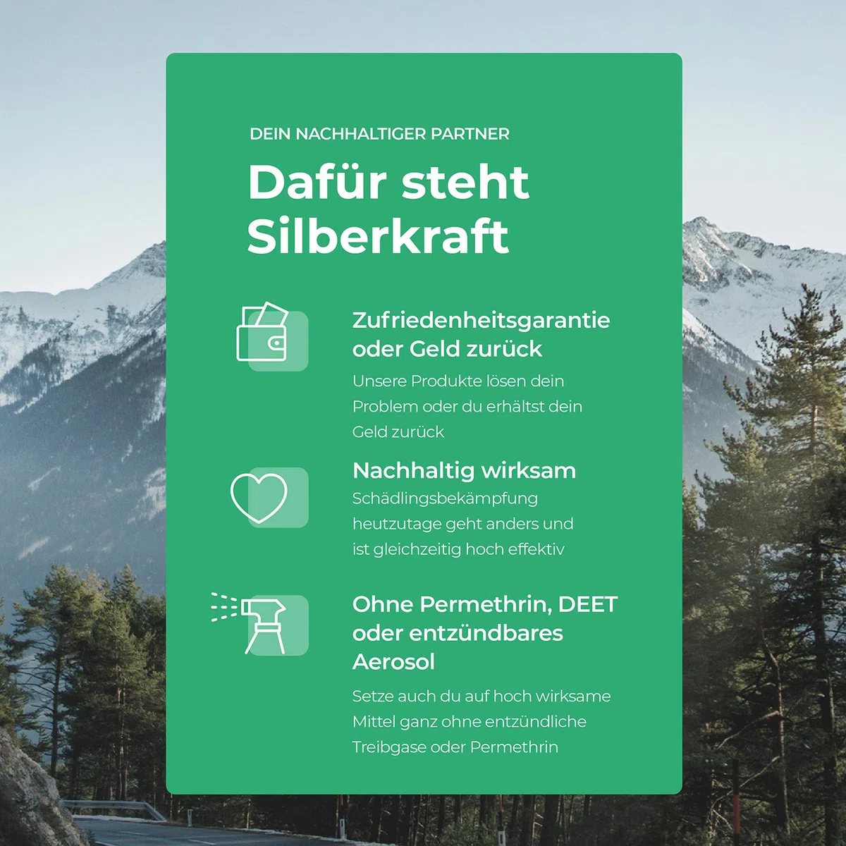 Silberkraft - Spray antiacaro per cani e gatti, 250 ml, affidabile antiacaro per cani, gatti, roditori e altri animali domestici, efficace e utile antiacaro