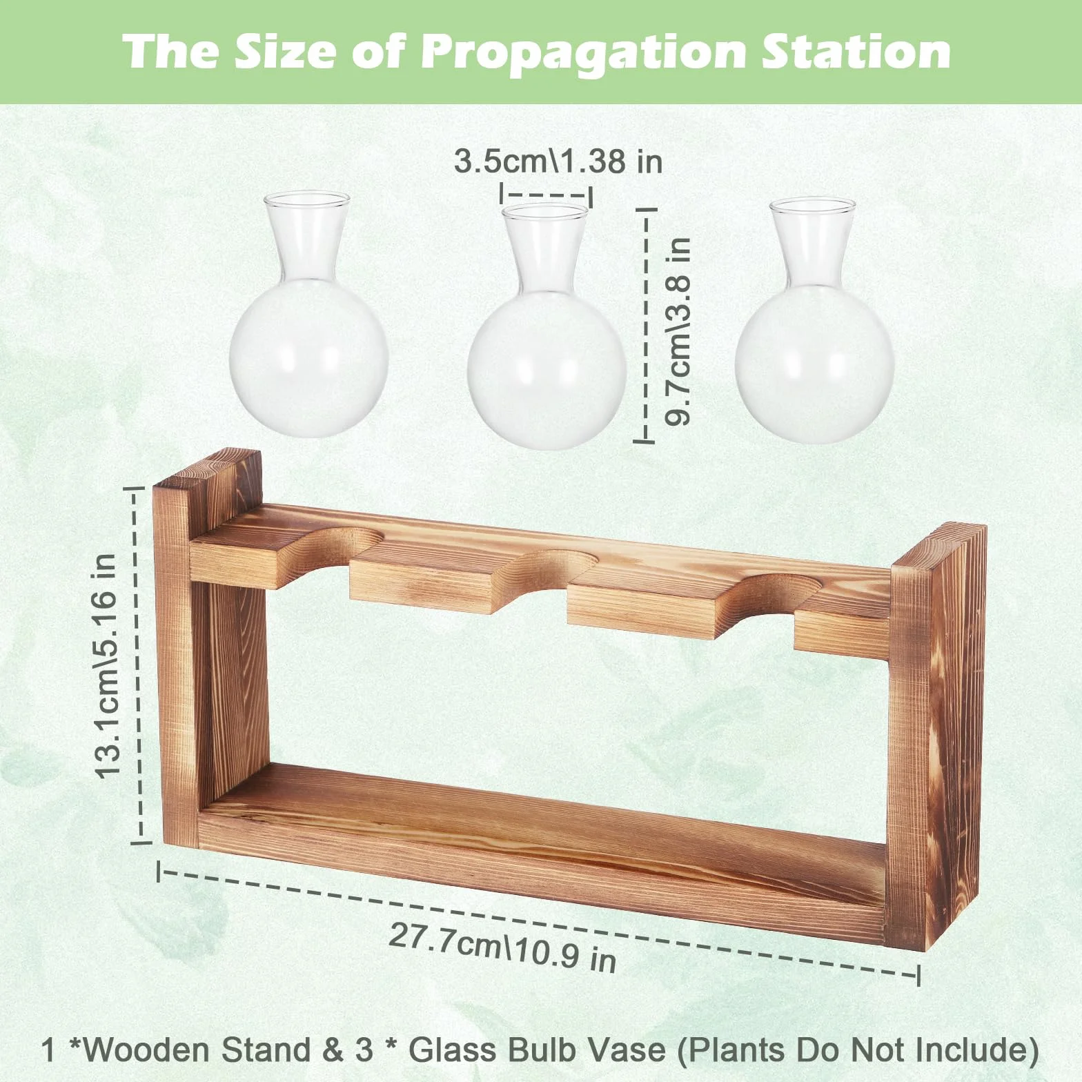 Stazione di Propagazione per Piante, Terrario in Vaso con Base in Legno, Decorazioni Eleganti per Scrivania con Piante in Terrario, Stazione di Propagazione per Talee di Fiori da Appartamento