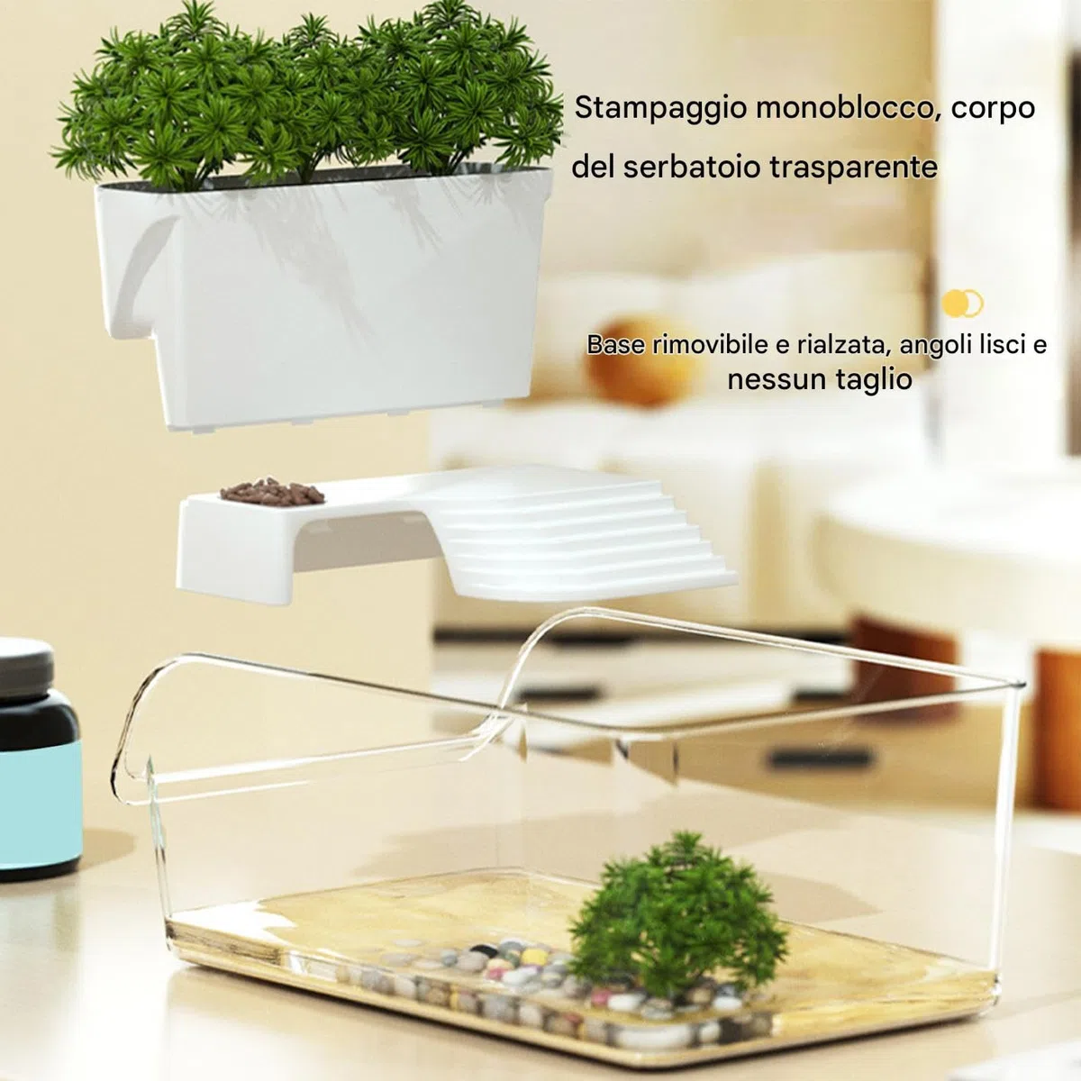 Acquario per Tartarughe | Riposo per Tartarughe,Acquario Per Tartarughe Per Scuole Casa Rifugi Animali Educatori Natura