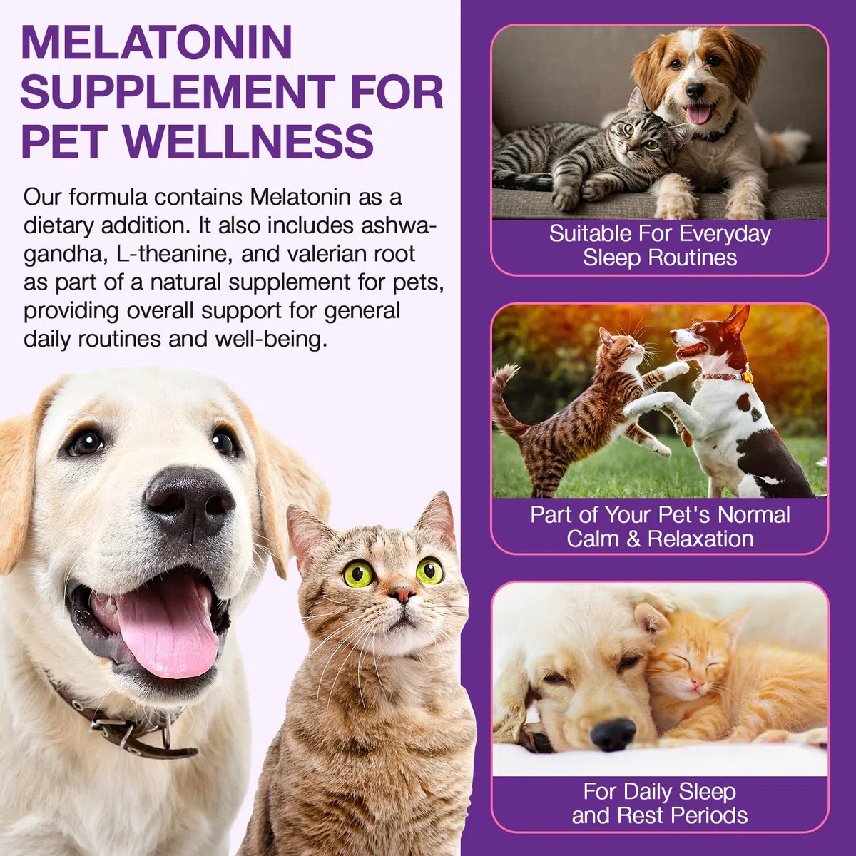 Melatonina Cane Gatto 120 ml, Integratore Liquido per Cani e Gatti, Gocce Anti Stress e Calmanti Naturali, Supporto per Relax e Riposo, Aiuta il Benessere degli Animali, Formula ad Alta Assorbibilità