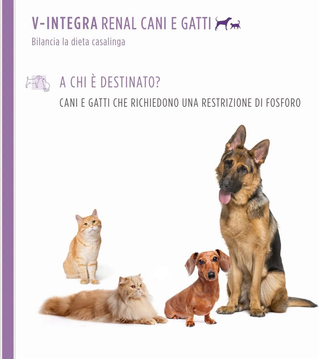 V-INTEGRA Renal 200g, Integratore Vitamine e Minerali per Bilanciare Diete Casalinghe di Cani e Gatti che Richiedono una Restrizione di Fosforo, Multivitaminico Cane e Gatto Made in Italy