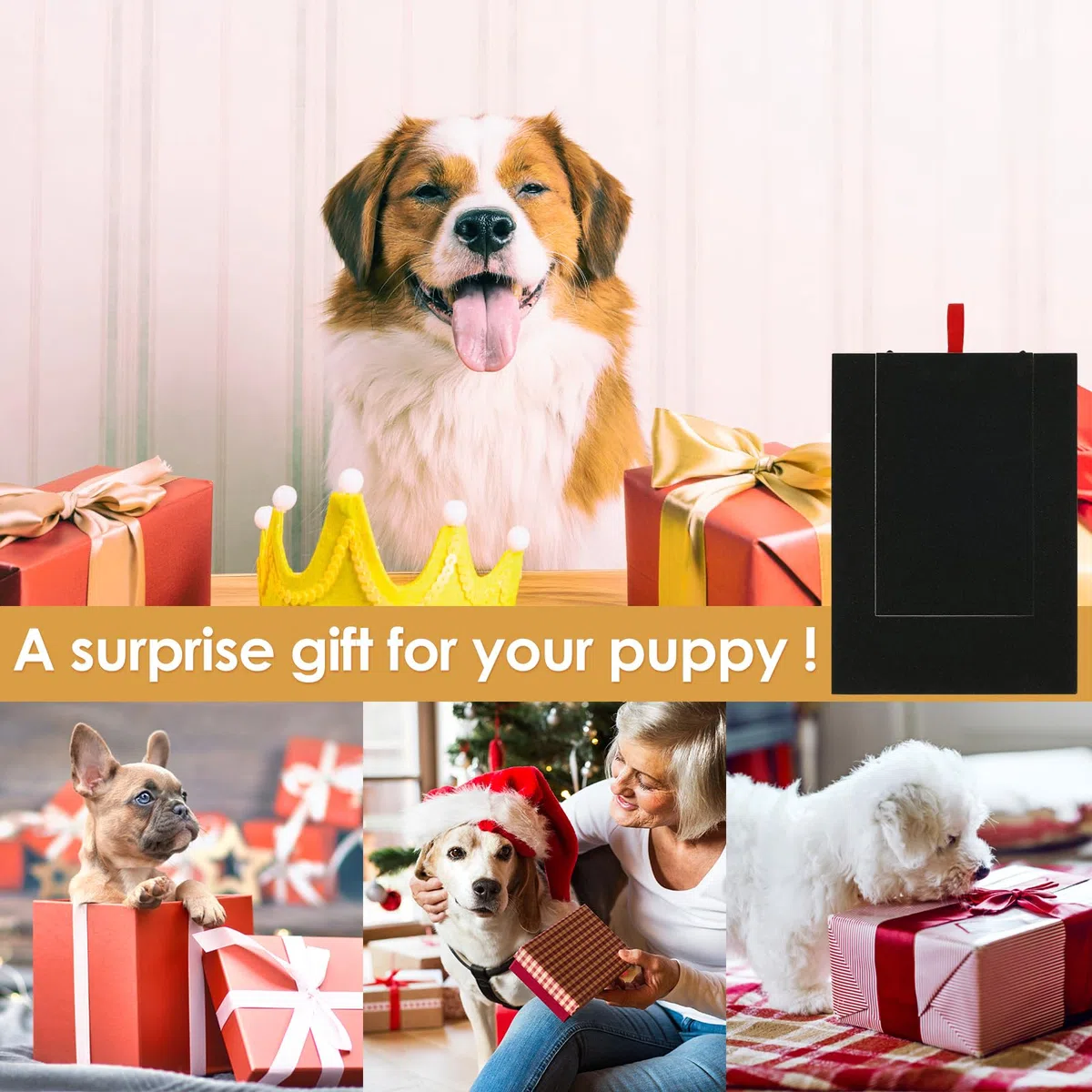 Lima per unghie per cani, in legno, con scatola per snack integrata, carta vetrata, per cuccioli, alternativa a tagliaunghie e smerigliatrici per cani (nero)