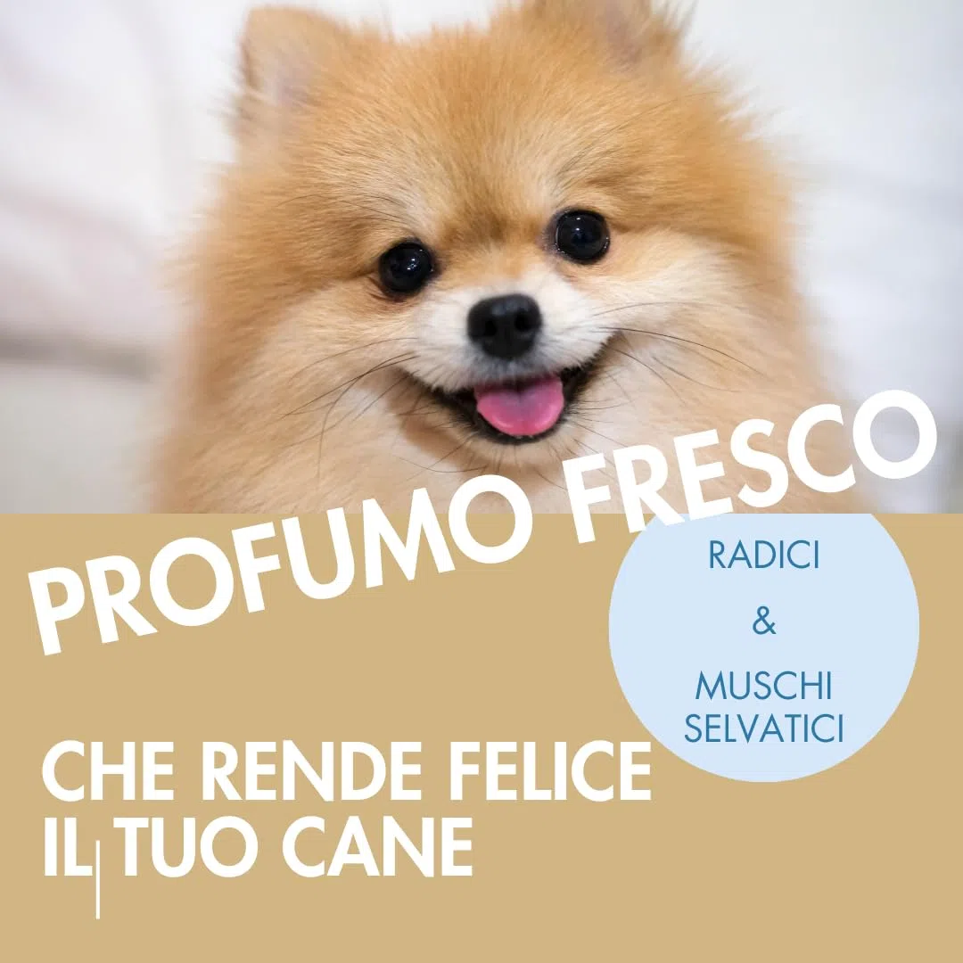 OVER LINE MERINI |Profumo per Cani Lunga Durata 100 ml – Deodorante Cane che Elimina gli Odori – Fragranza Dolce e Raffinata – Pelo Fresco e Profumato – Made in Italy