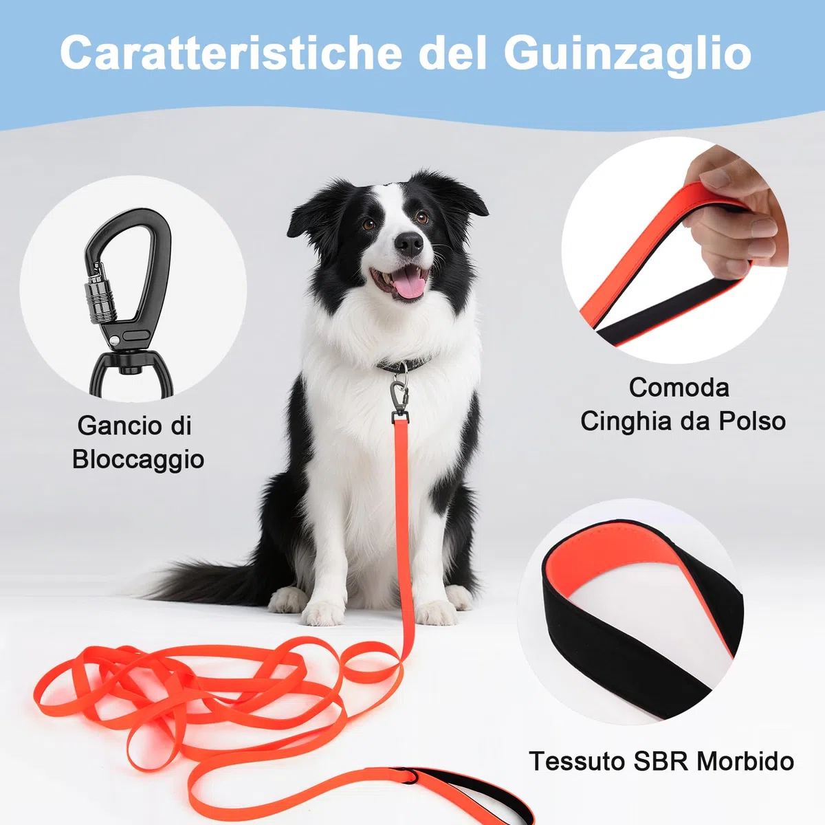 Guinzaglio da Addestramento Impermeabile per Cani, 1,8m/ 3m/ 5m/ 10m/ 15m/ 20m/ 25m/ 30m Robusta e Resistente con Maniglia e Moschettone, Perfetta per Cani di Taglia Piccola e Grande