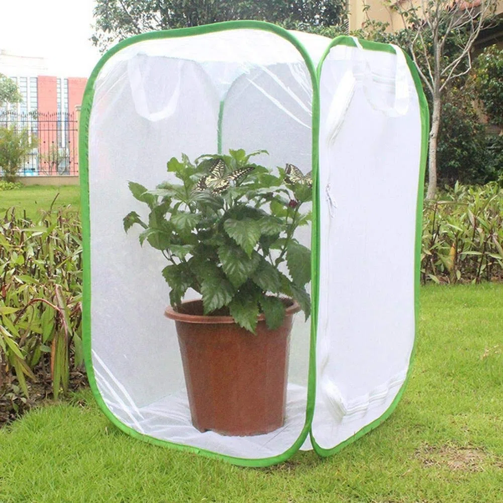MAGT Gabbia Habitat Gabbia per Insetti, 40 × 40 × 60 cm Pieghevole Portatile Rete in Filato di Poliestere per Piante Frutta Verdura (L)