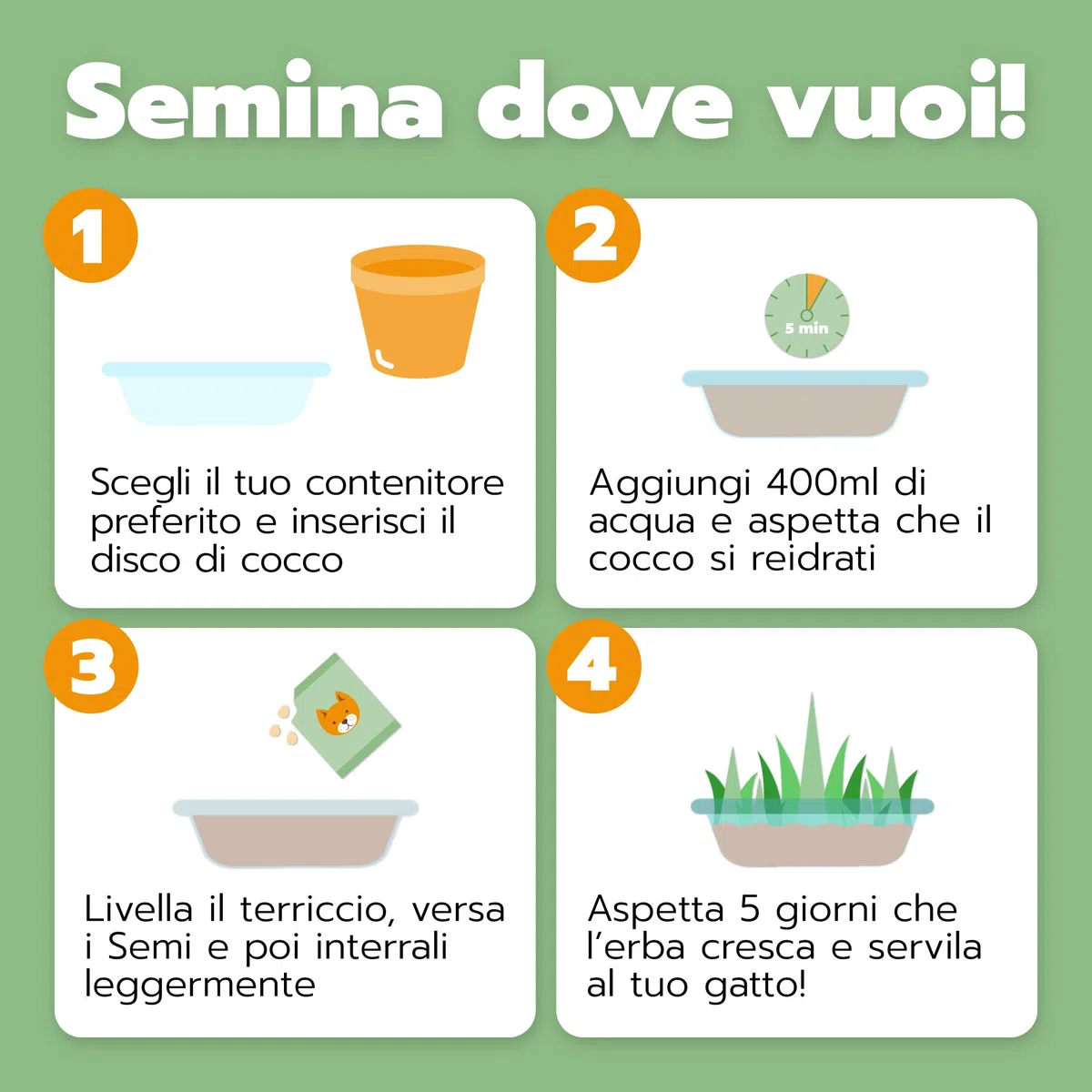 BUNDLE 7+1 Cococat, Kit di Semina per Gatti con Fibra di Cocco, Crescita in 5 Giorni, Senza Plastica, con Semi Biologici e Terriccio Naturale