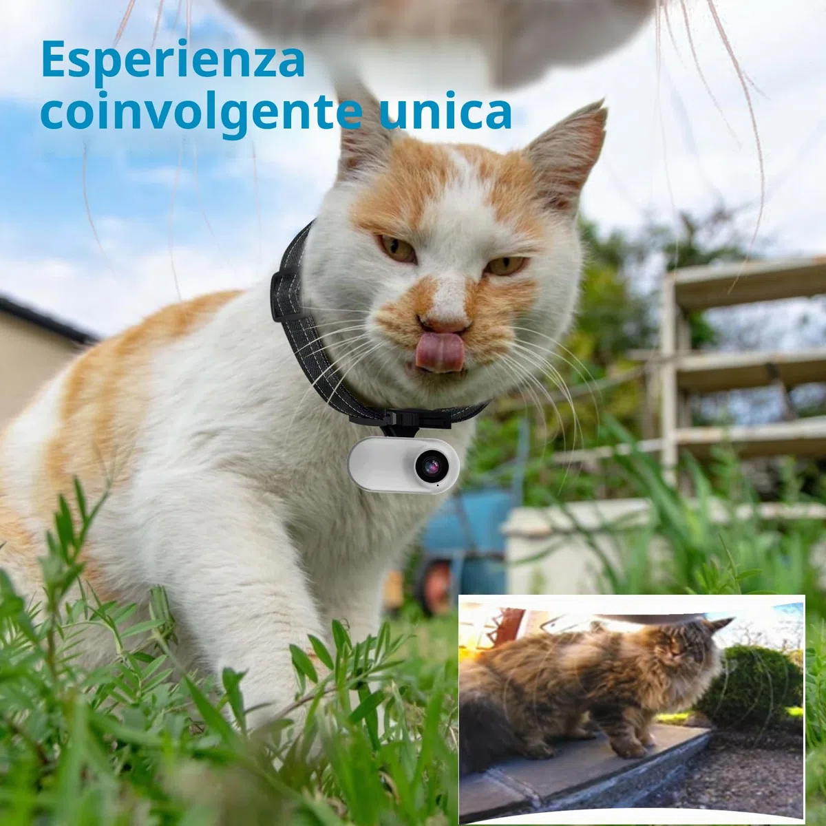 HD 1080P Cat Camera Collare con Registrazione Video, Mini Macchina Fotografica Wireless Sportiva, Piccole Telecamere di Azione, Corpo Camera per Pet Supplies, Articoli per