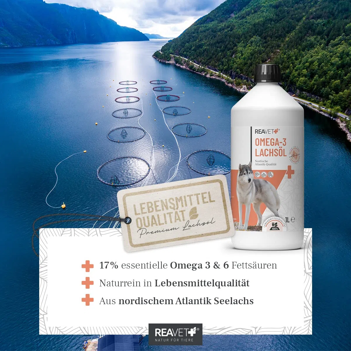 ReaVET Articolo di prova molto buono 02/24 olio di salmone per cani, gatto 250 ml – Ricco di Omega 3 & 6, olio di pesce cane ad alto dosaggio, qualità alimentare senza additivi, fresco imbottigliato