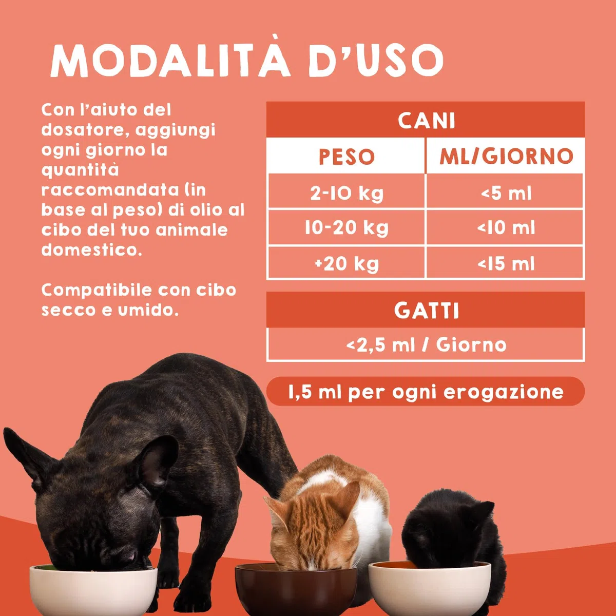 MAIKAI Olio di Salmone per Cani e Gatti 100% Naturale Norvegese 1LRicco di Omega 3 6 e 9 Migliora Pelle e Pelo - Supporta Articolazioni e Sistema Immunitario - Appetizzante Naturale per Animali