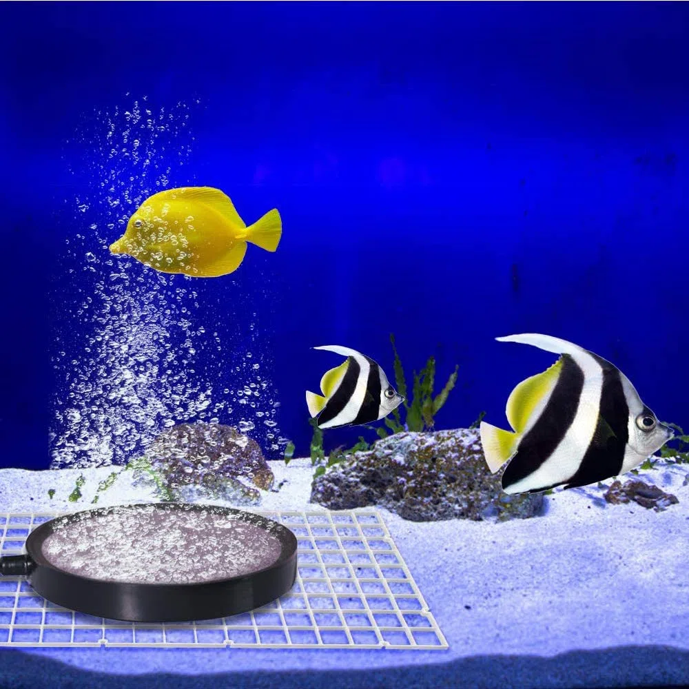 4 Pezzi Fishtank Divisori,Vassoio Acquario Cassa,Acquario con Griglia di Isolamento,con 4 Clip,per Acquari isolare Board Grid Vassoio Egg Crate Filtro Inferiore (Bianca)