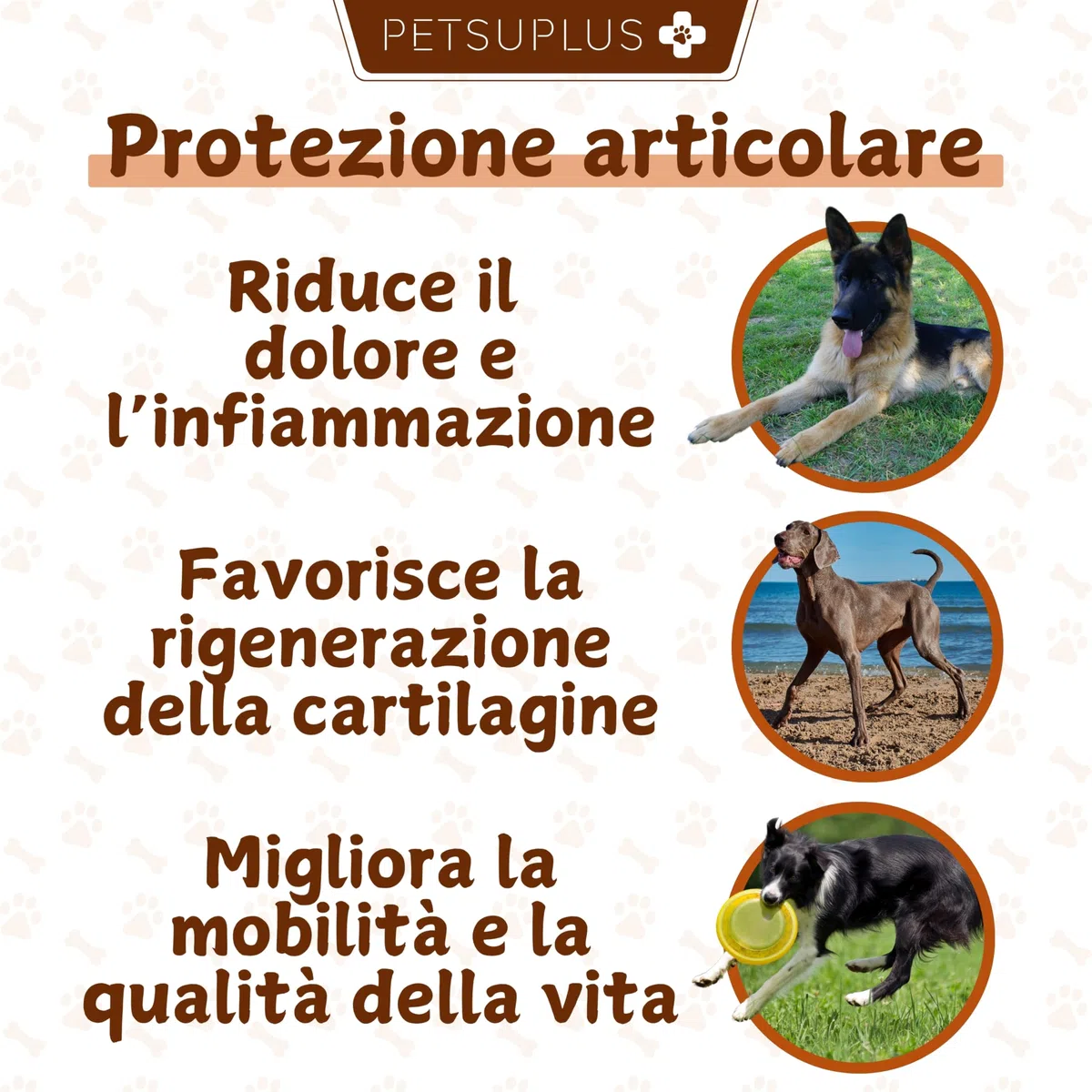 Joint Care Cani Articolazioni - Integratore Articolazioni Cane - Condroprotettori - Condroitina e Glucosamina, MSM, Collagene e Acido Ialuronico -120 Masticabili
