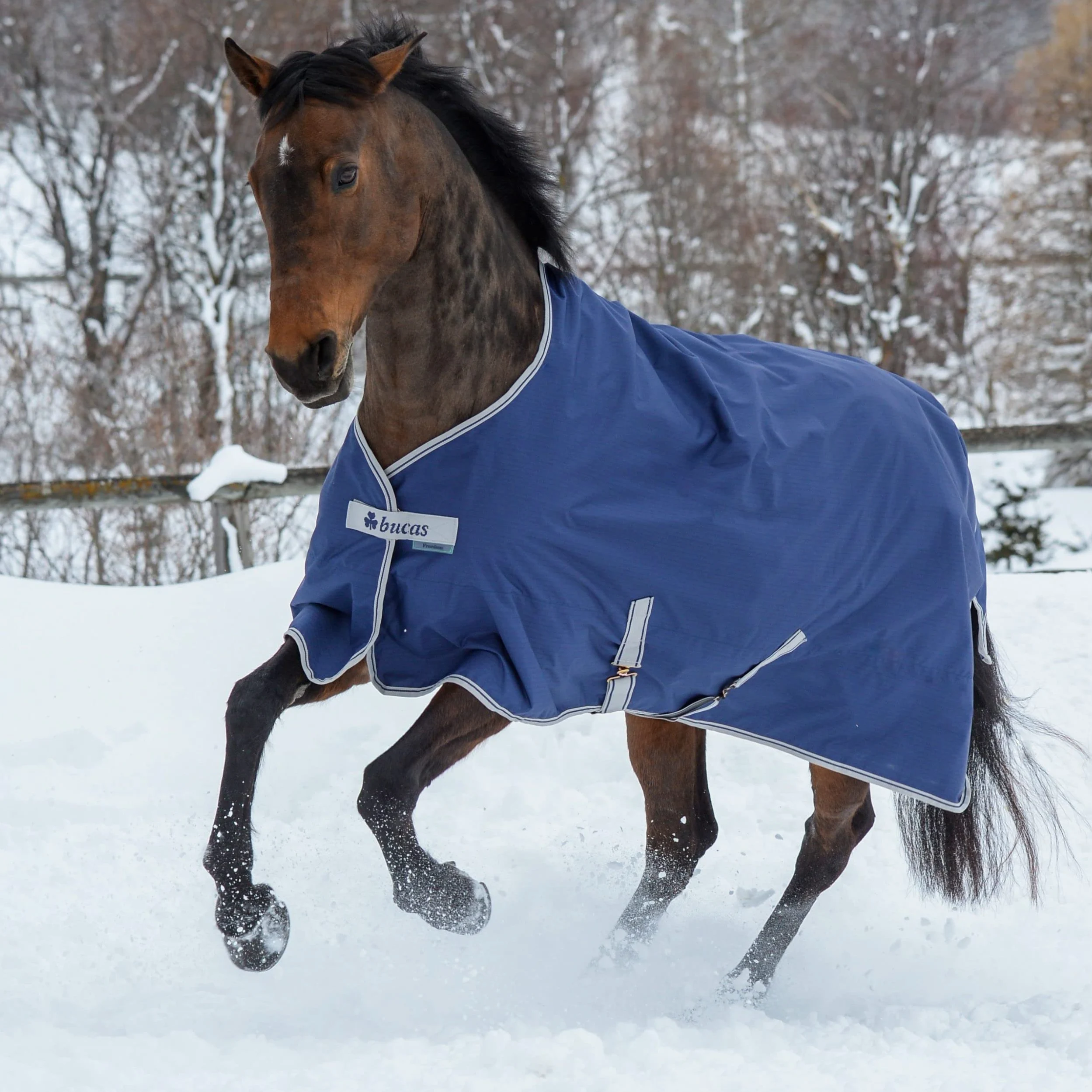 Bucas Freedom Turnout Pony Light, mantello per cavall – colore blu marino/argento, blu navy, 135