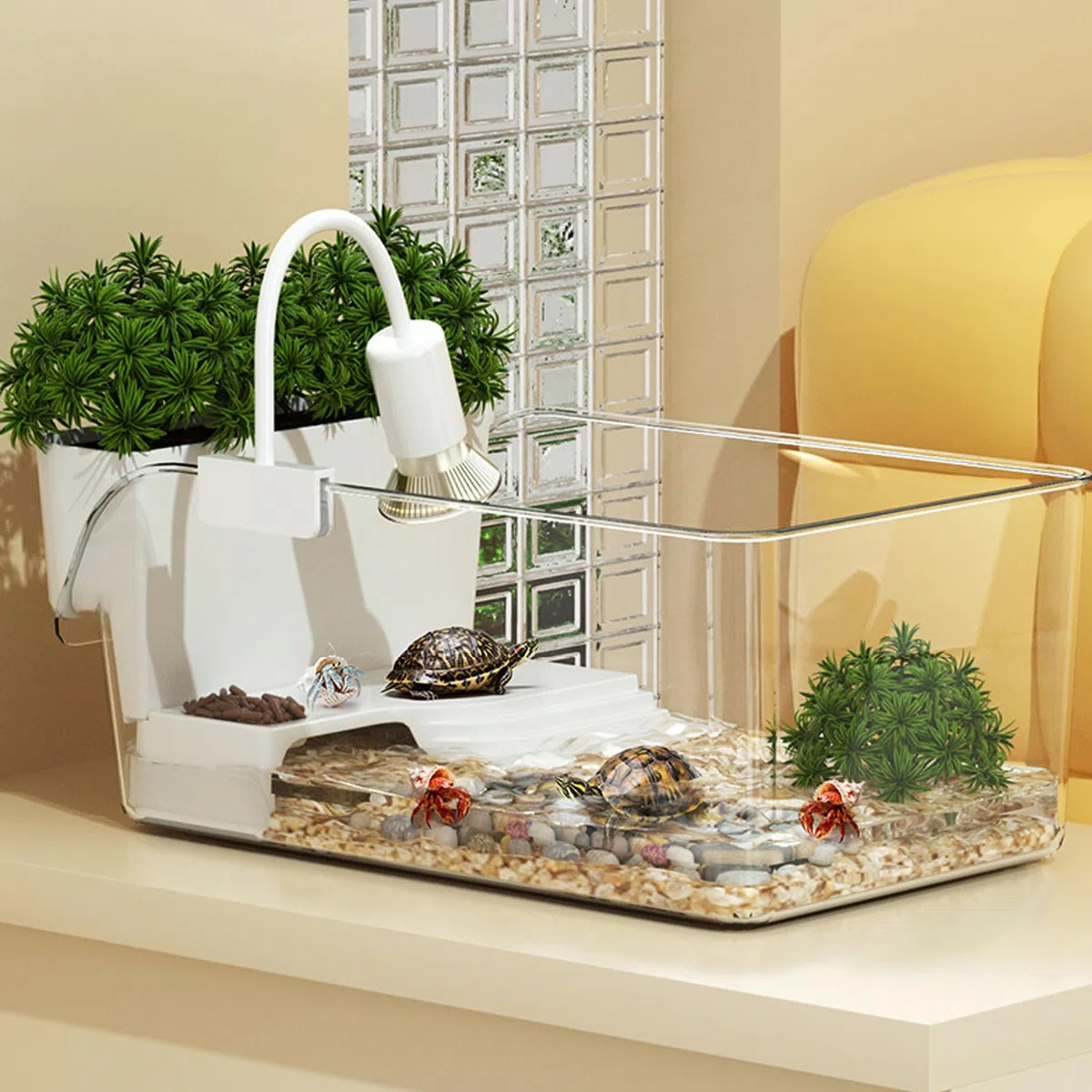 Acquario per Tartarughe | Riposo per Tartarughe,Acquario Per Tartarughe Per Scuole Casa Rifugi Animali Educatori Natura