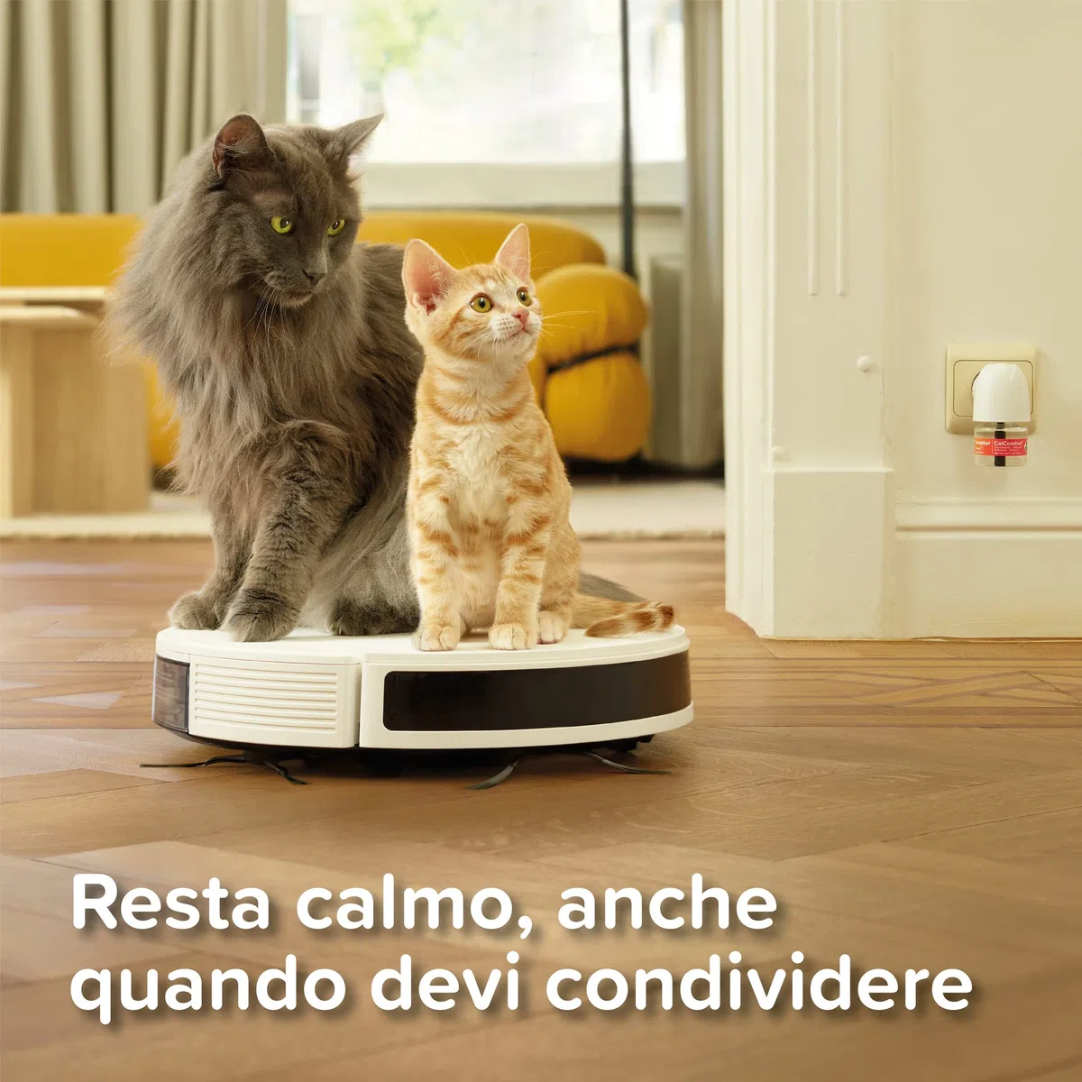 Beaphar CatComfort Excellence Starter Kit, Antistress Gatto con Feromoni Felini, 1 Diffusore + 1 Ricarica 48 ml per un Ambiente Calmo e Senza Stress, Copertura fino a 70 m2