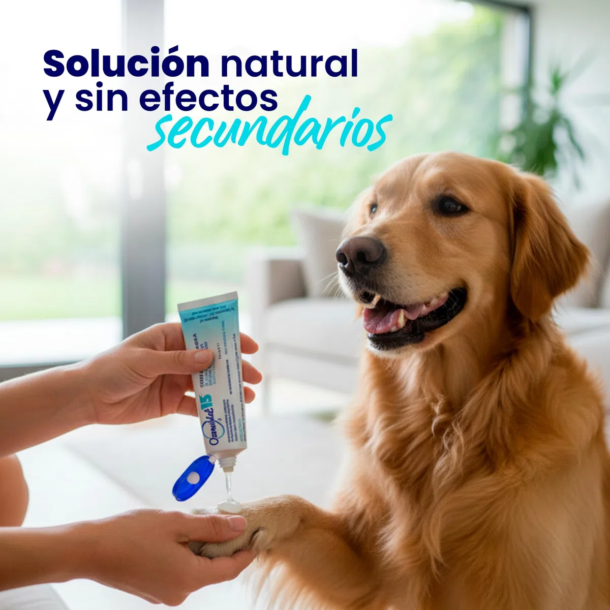 Gel Cicatrizzante Ozonizzato Per Cani e Gatti Allevia Prurito Dermatite Allergie Ferite e Bruciature - Cicatizzante Idratante Senza Lasciare Effetti Secondari E Controindicazioni - 35 ml - 1 Unità