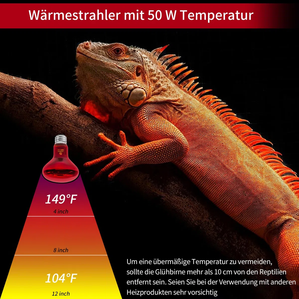 Lampade Termiche per Rettili a Infrarossi, 2 Pacchetti di Lampade Spot a Infrarossi da 100W, Emettitori di Calore Rosso per Tartarughe, Draghi Barbuti, Galline e Polli