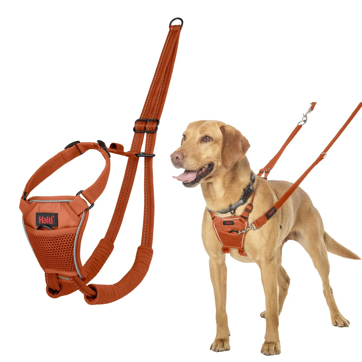 Pettorina anti-trazione HALTI - Per impedire al cane di tirare il guinzaglio, regolabile e semplice da utilizzare. Pettorina da addestramento per cani di taglia media (Taglia M, Arancia Bruciata)