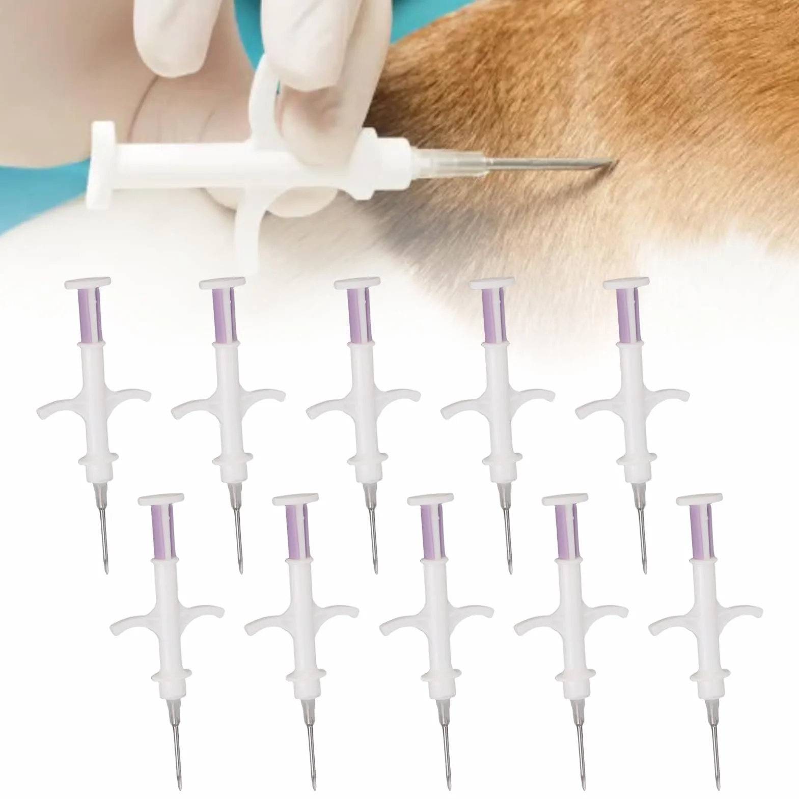 Denash Tag di Microchip per Animali Domestici 10 Pacchetti, Microchip per Animali con Codice a 15 Cifre per Cani Gatti di Bestiame di Tracciamento e Gestione dei Pesci Pollame (2,12 * 12mm)