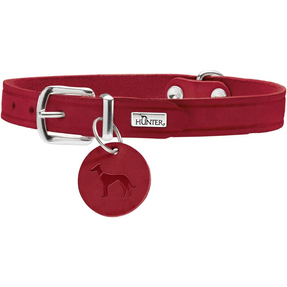 HUNTER AALBORG - Collare per cani, in pelle, semplice, resistente, confortevole, 60 l, colore: Rosso