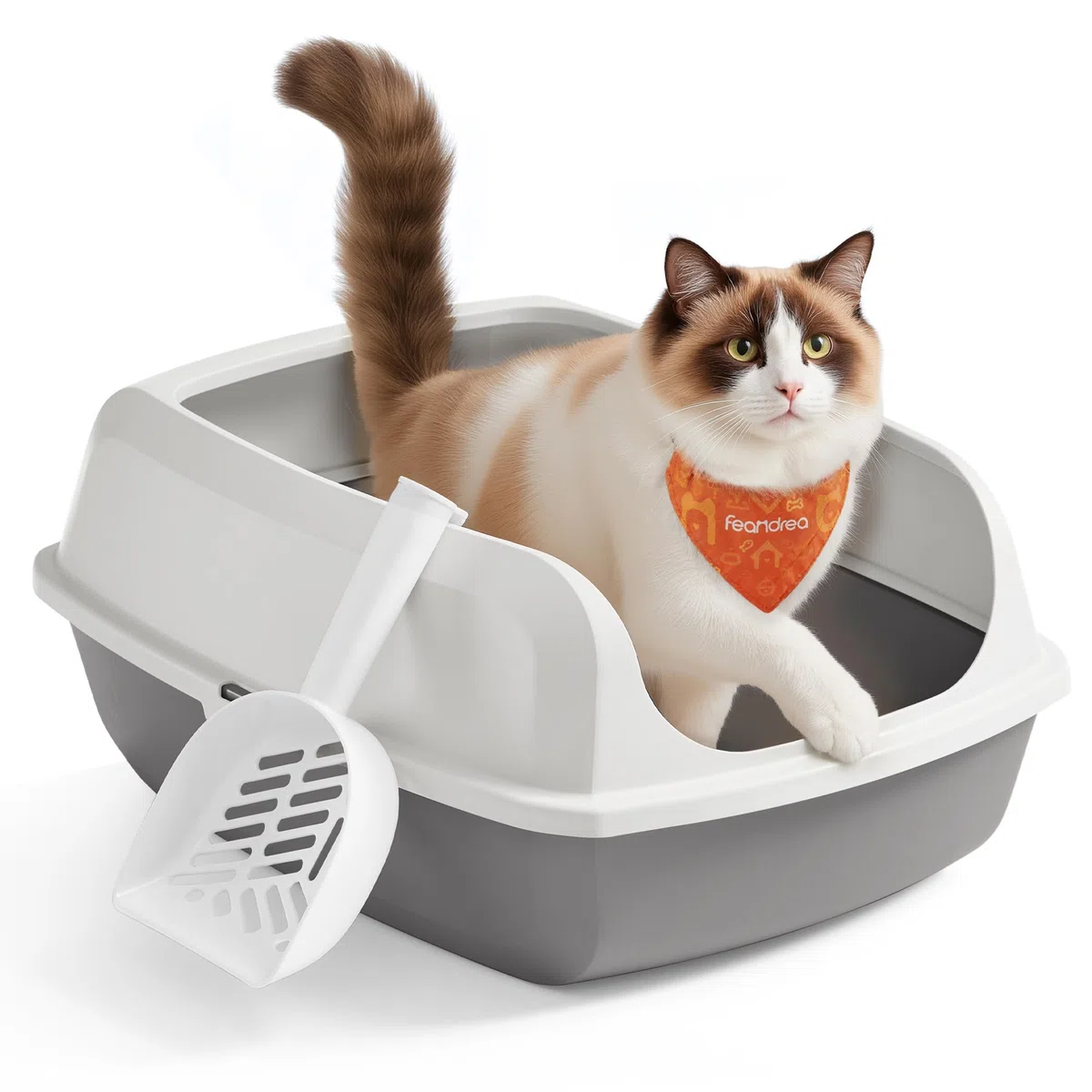 Feandrea Vassoio Lettiera per Gatti con Bordi Alti, XXL, Aperto con Paletta, per Gattini e Gatti Grandi, Bianco Nuvola PPT010W101