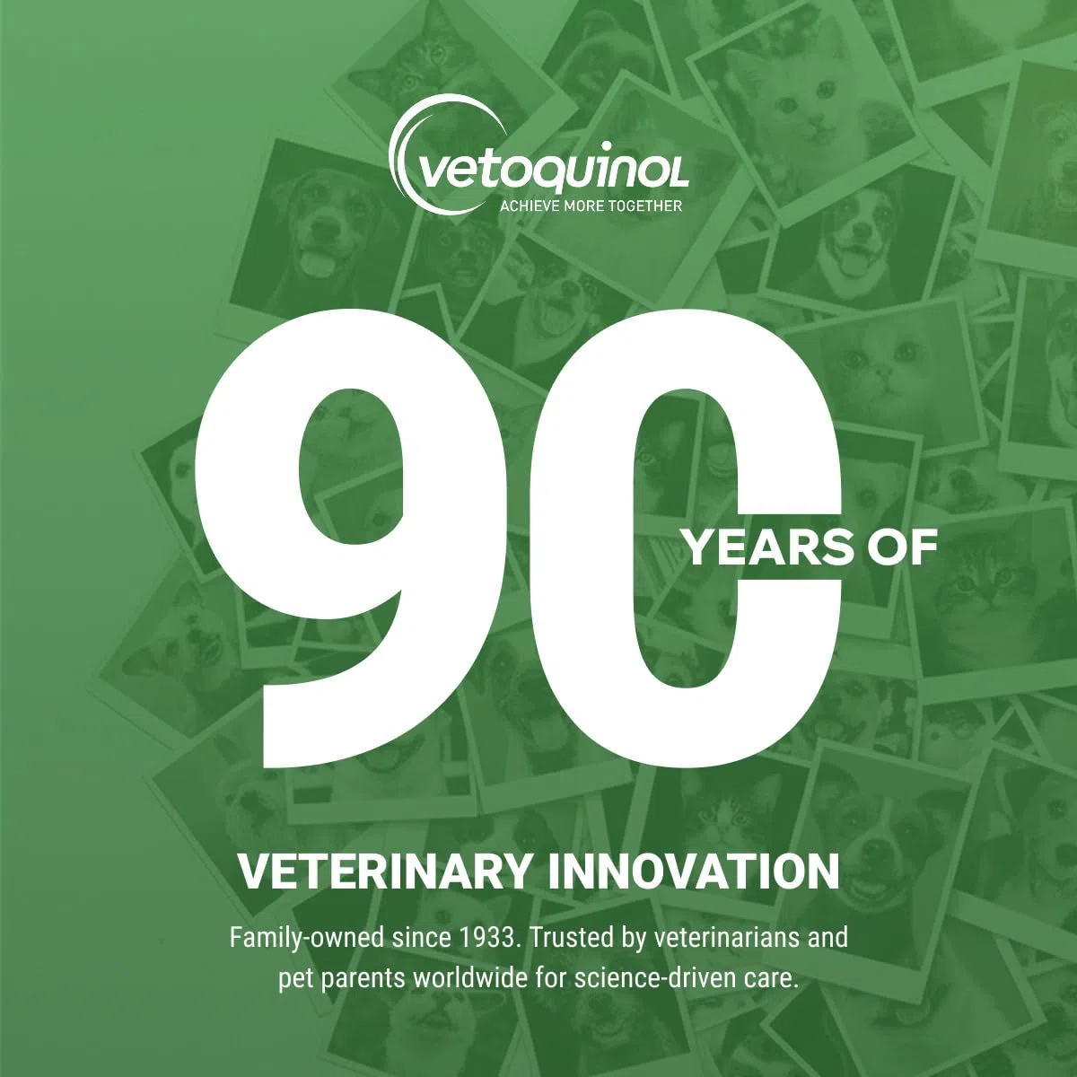 Enisyl Enisyl-F Paste For Cats 100ml by Vetoquinol