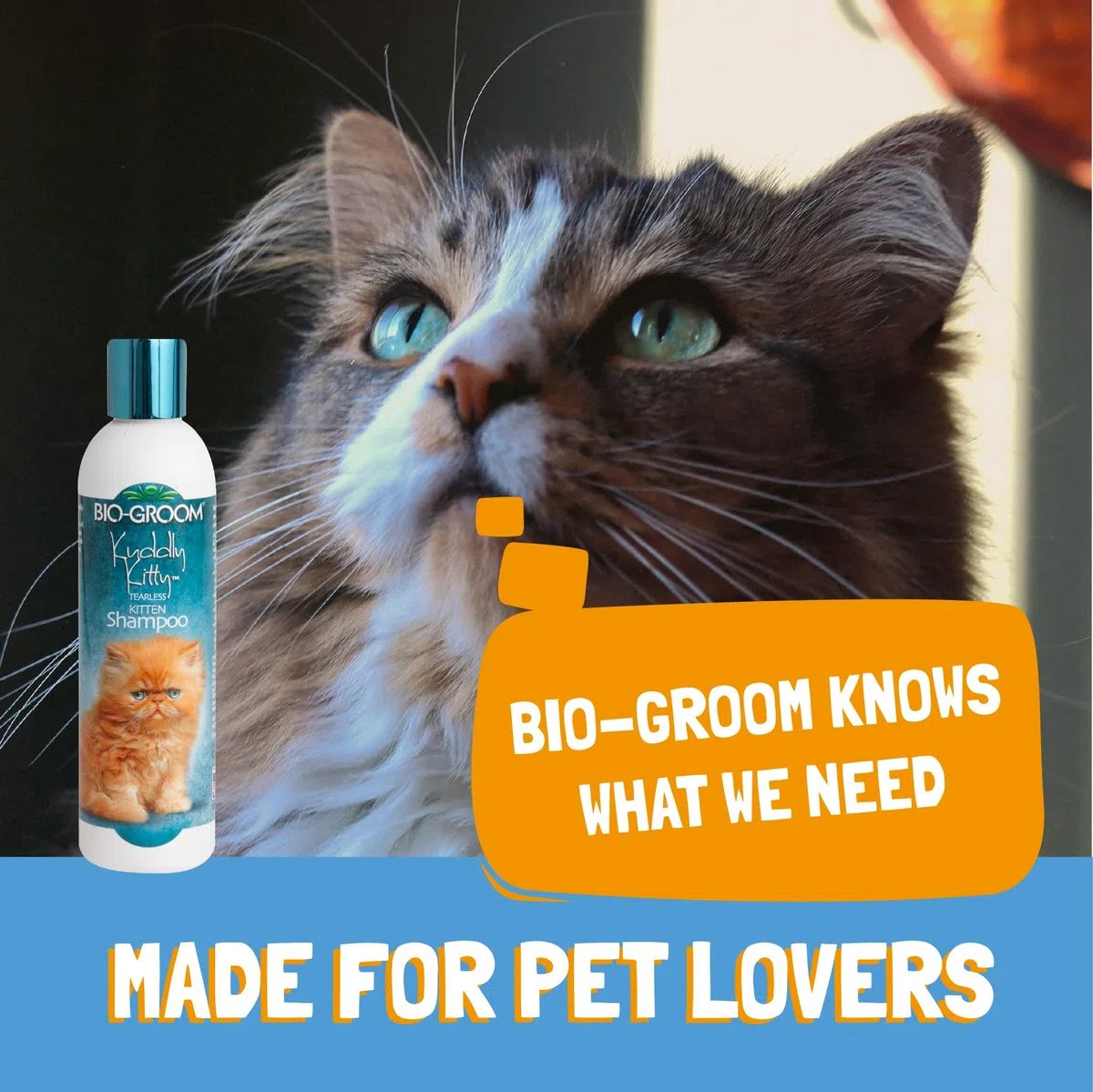 Bio-Groom CBB26008 Kuddly Kitty Shampoo For Cats And Kittens 240ml