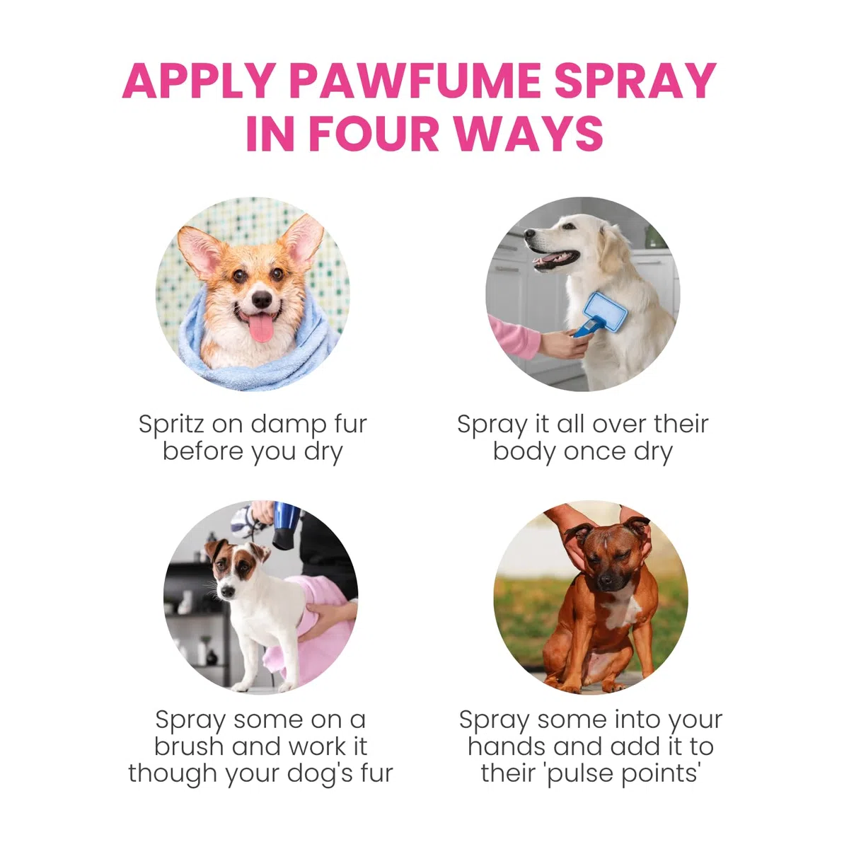 The Pawfume Shop Dog in A Million Pawfume Spray per Cani