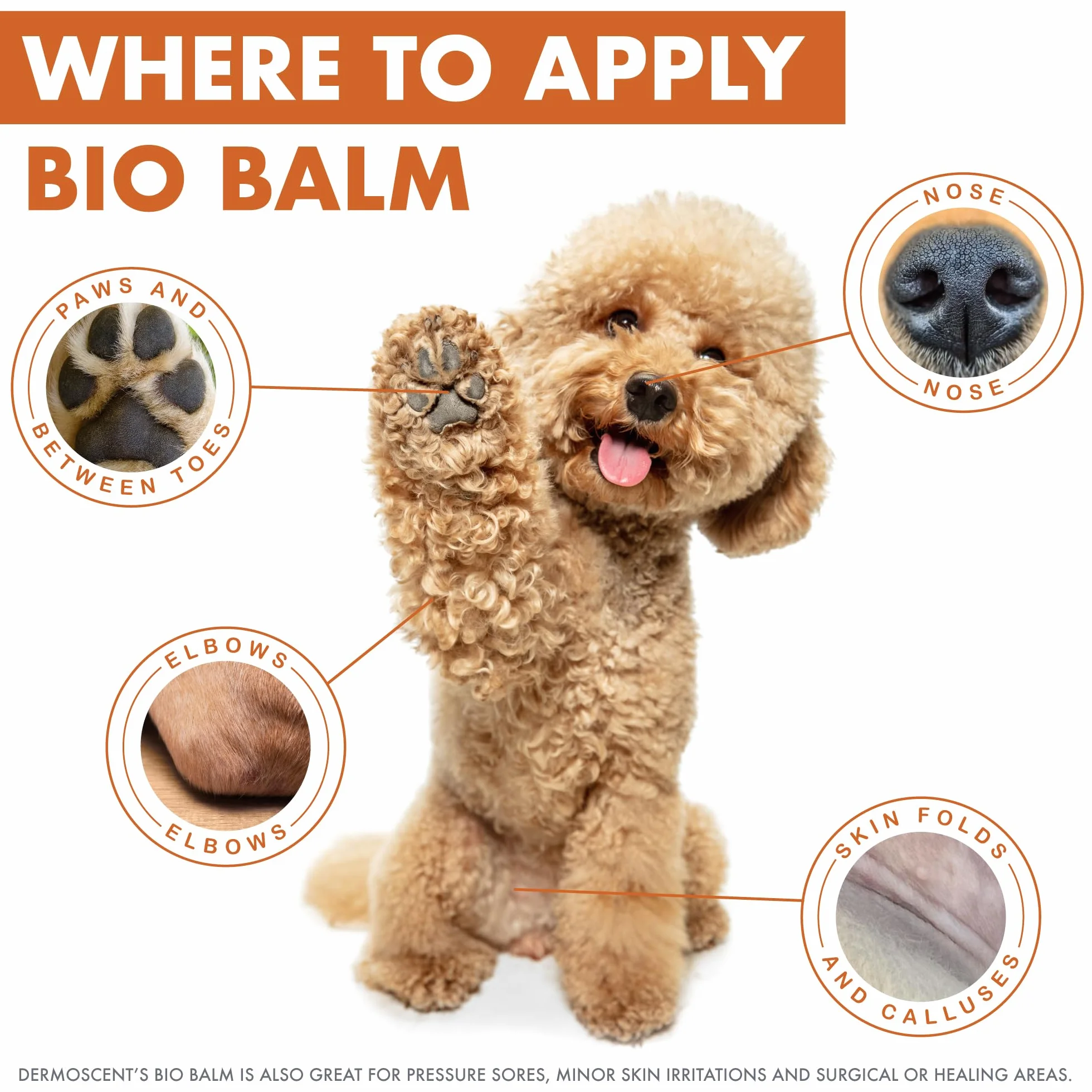 Dermocent | Balsamo Biologico | Balsamo per zampe di cane | Idratante organico per zampette, naso e gomiti | Sollievo dalla pelle pruriginosa del cane | Lenisce le zampe sensibili | 50 ml