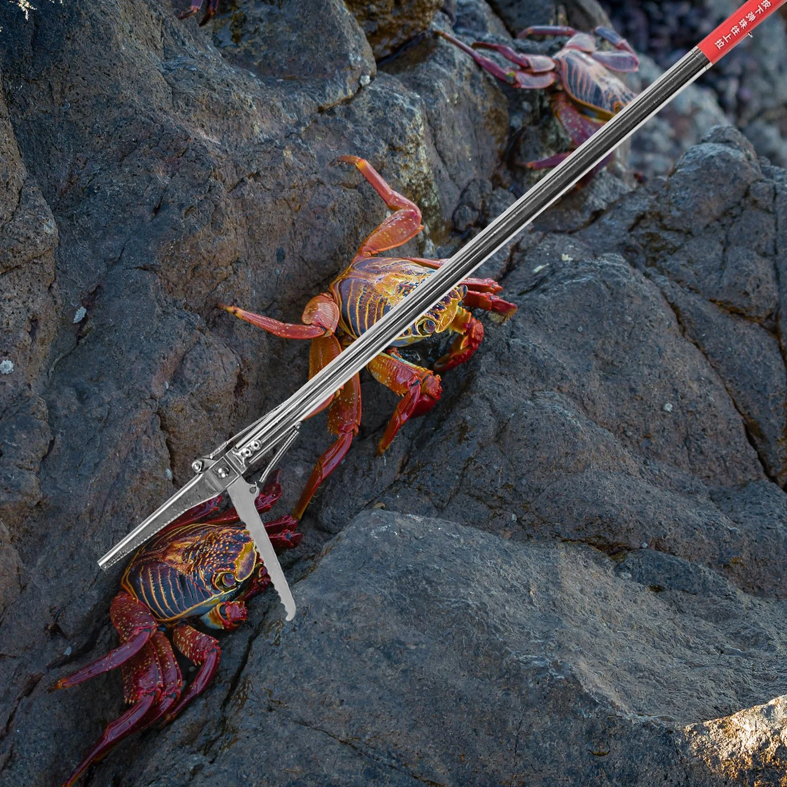 Pinza Acchiappa-Serpenti in Acciaio Inossidabile Pieghevole 48 Pollici Design Antiscivolo per Uso Domestico e Giardino Esterno