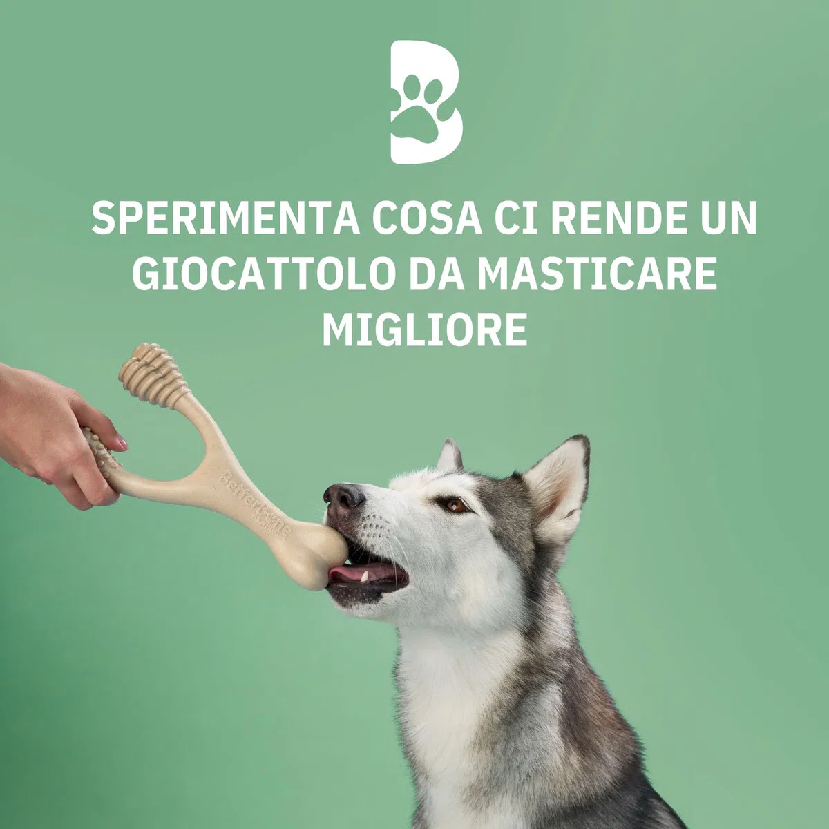 BetterBone - Giocattolo per cani da masticare – Small Medium Beef – Osso da masticare per cani senza nylon e OGM a base di cellulosa – Giocattolo da masticare medio con sapore di manzo – Legno da