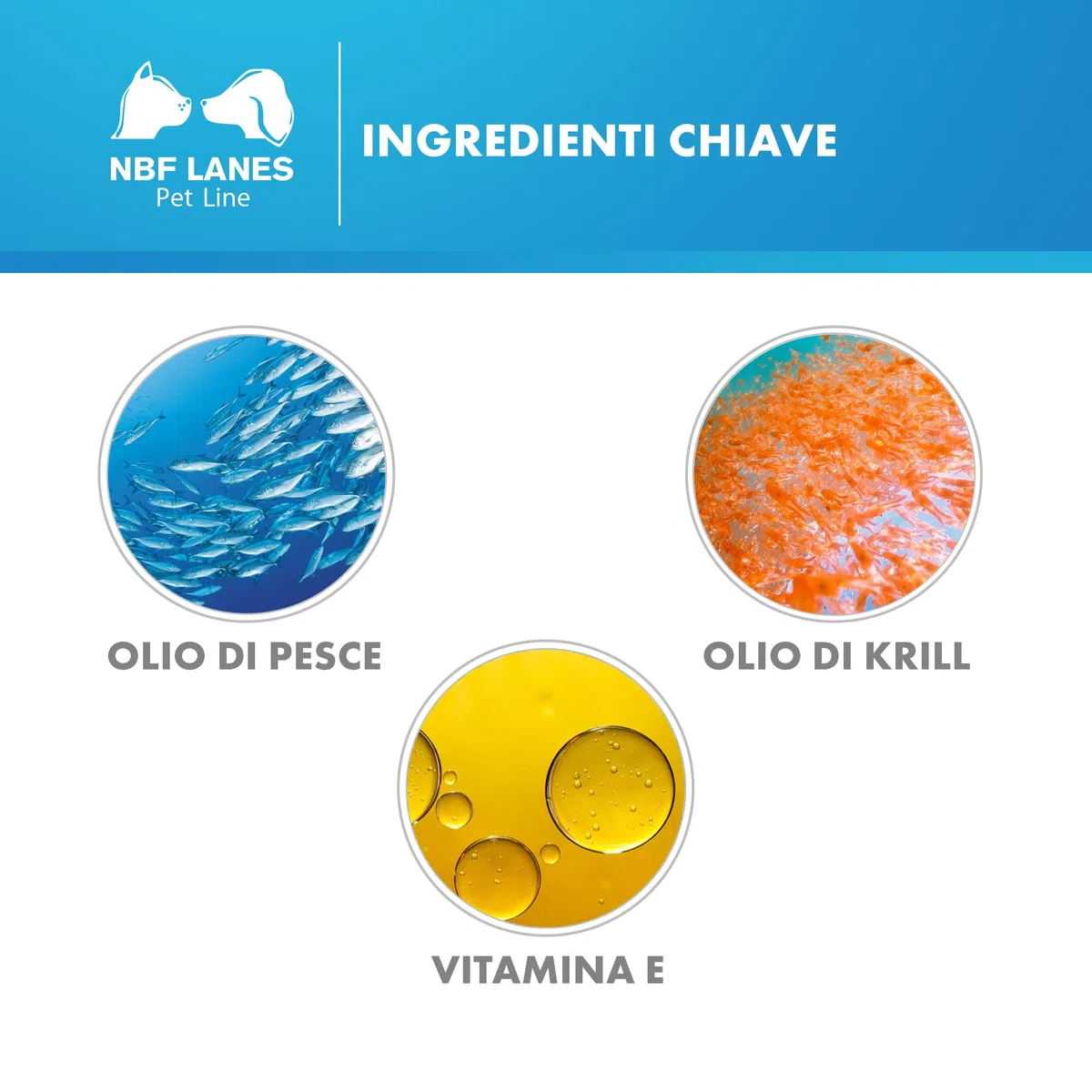 NBF Lanes | Krill Omega Pet Cane e Gatto, 60 Perle Appetibili, per il Normale Mantenimento della Funzionalità Renale e Intestinale