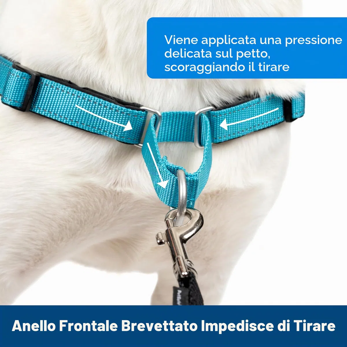 PetSafePettorina Deluxe Easy Walk Grande, Blu Oceano - 0.4 kg