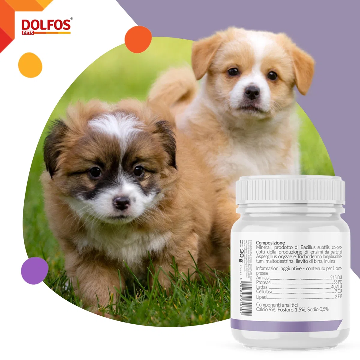 Dolfos AmylaDol MINI 90 Compresse, Integratori per Cani e Gatti con Enzimi Pancreatici, Supporto Professionale per Insufficienza Pancreatica e Disturbi Digestivi