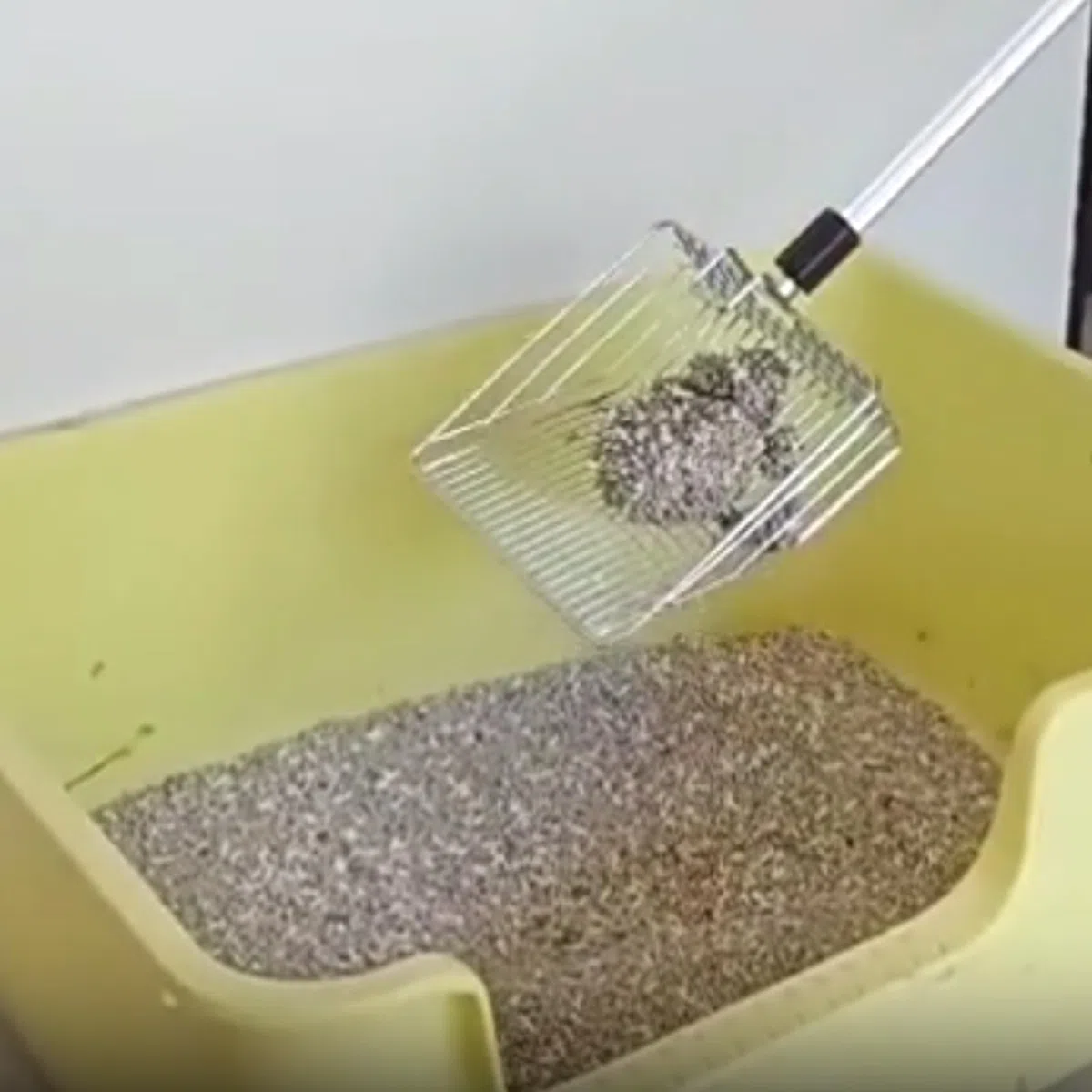 Paletta Lettiera Gatto,Paletta Per Lettiera Gatto Con Manico Lungo,Pala Per Gatti In Acciaio Inox Per Animali Domestici,Paletta In Metallo Con Pala Profonda,3 Lunghezze Regolabili 22,4in/30,3in/41,7in