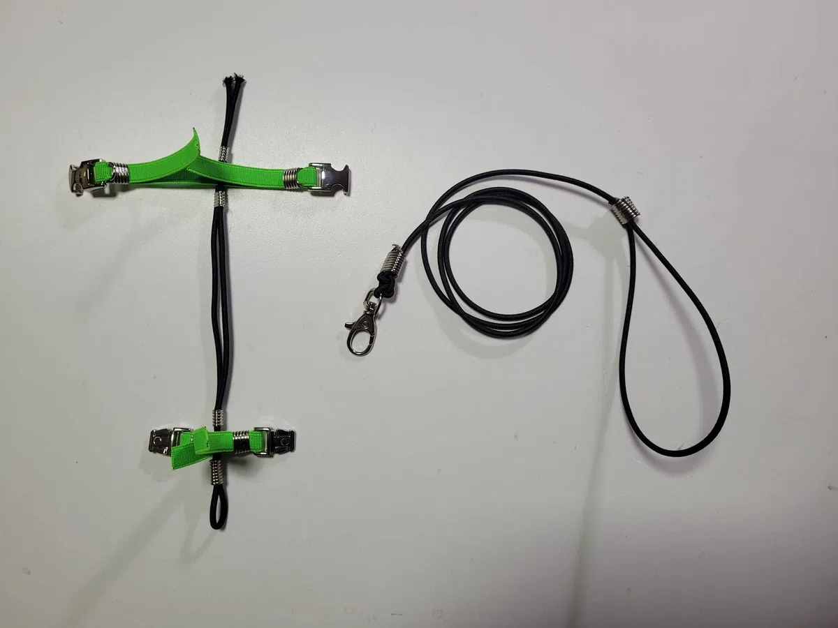 PETTORINA PAPPAGALLI PARROCCHETTO DAL COLLARE corda 3mm elastica nera al collo, fasce nastro 10mm, 2 attacchi,ACCIAIO SGANCIABILI REGOLABILI con GUINZAGLIO 1M xtutte le razze + amuleto