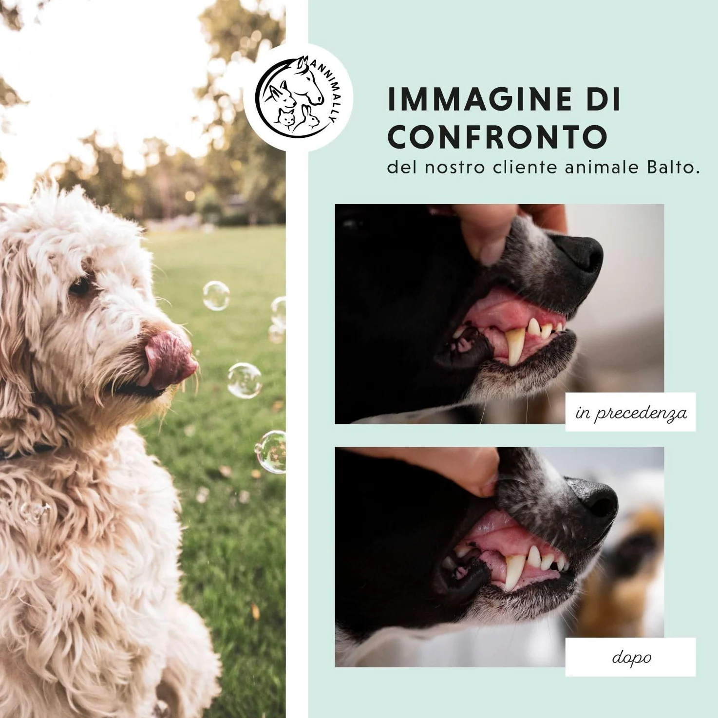 Polvere denti cane - Rimedio contro il tartaro per cani - Pulizia denti cane naturale particolarmente efficace per denti gialli, alito cane cattivo e placca (100 g)