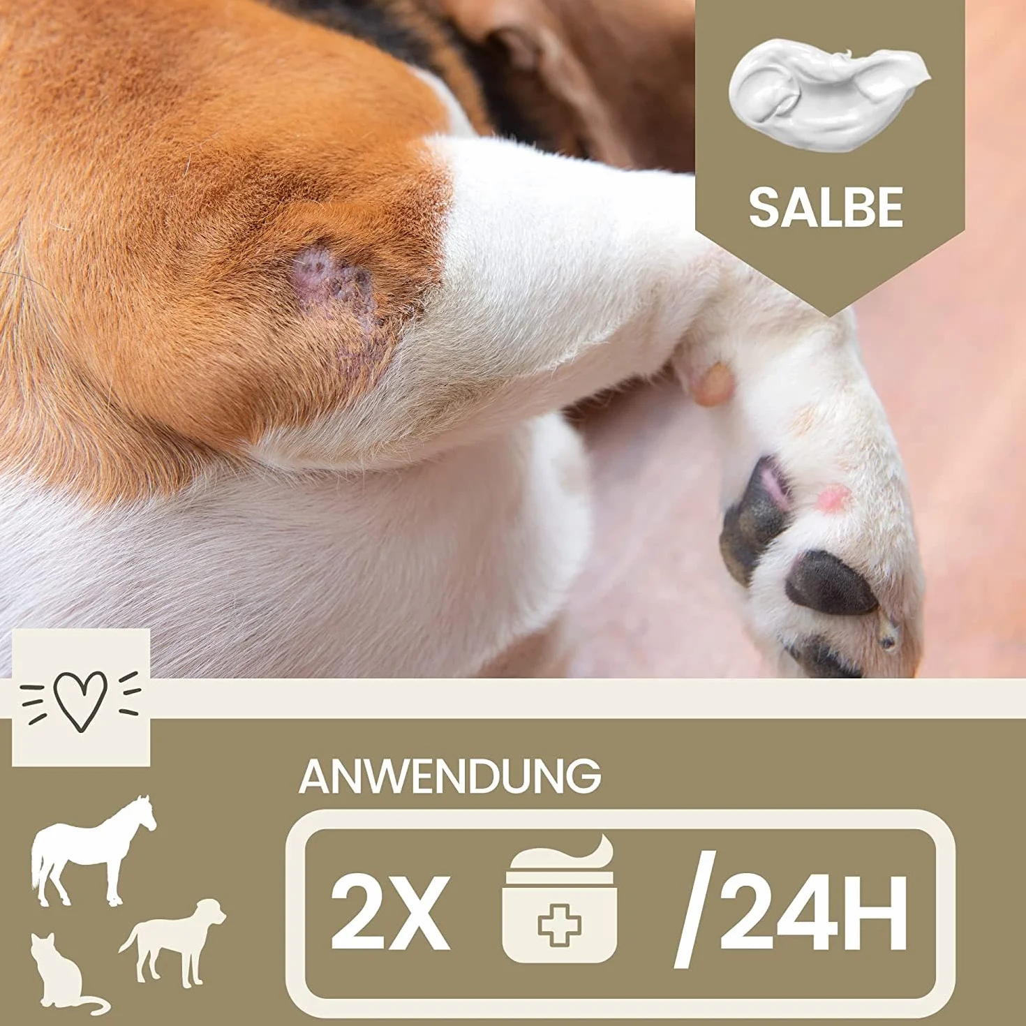 EMMA Unguento allo Zinco Cavallo Cane Gatto I Crema allo Zinco per ferite Aperte I Unguento per eczemi con Zinco per Il prurito dei Malati I Crema per la guarigione delle ferite I per Animali 250ml