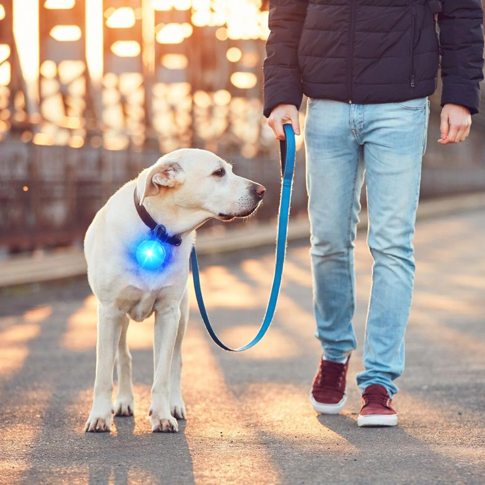 7 ciondoli luminosi per cani con luce lampeggiante a LED, per cani e gatti, collare luminoso con 3 modalità lampeggiante, portachiavi per zaini, bambini, jogger