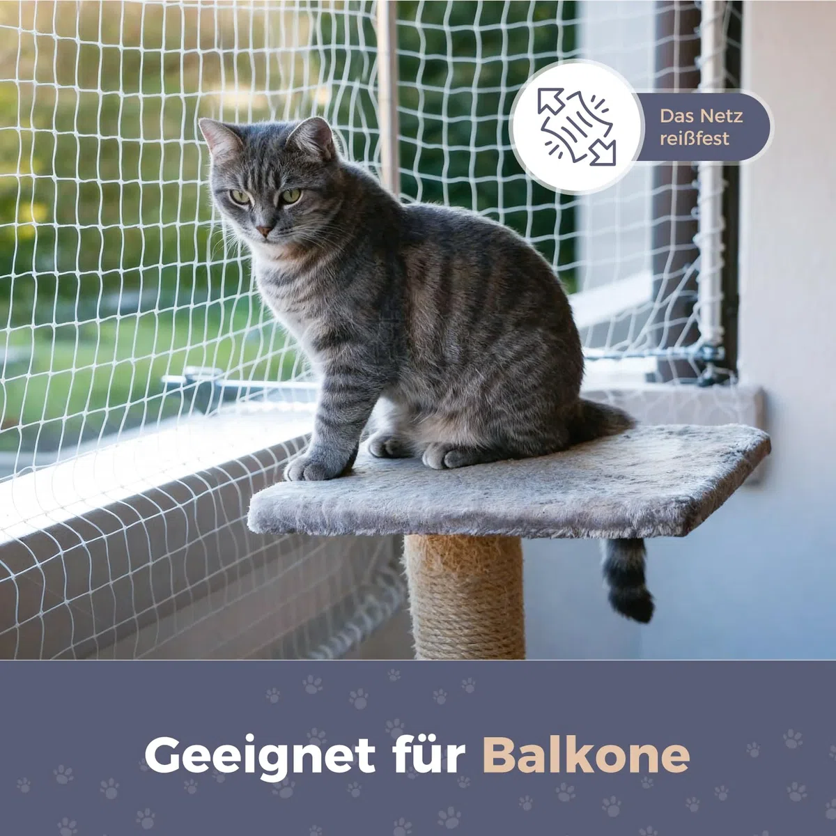 OAK Rete per Gatti Balcone, Rete Balcone Gatto 10 x 3 m, Colore Trasparente, Tenacia Nuovo Materiale Antietà, Rete Anti Uccelli, Protezione Piscina, Maglia Quadrata da 2,5 cm