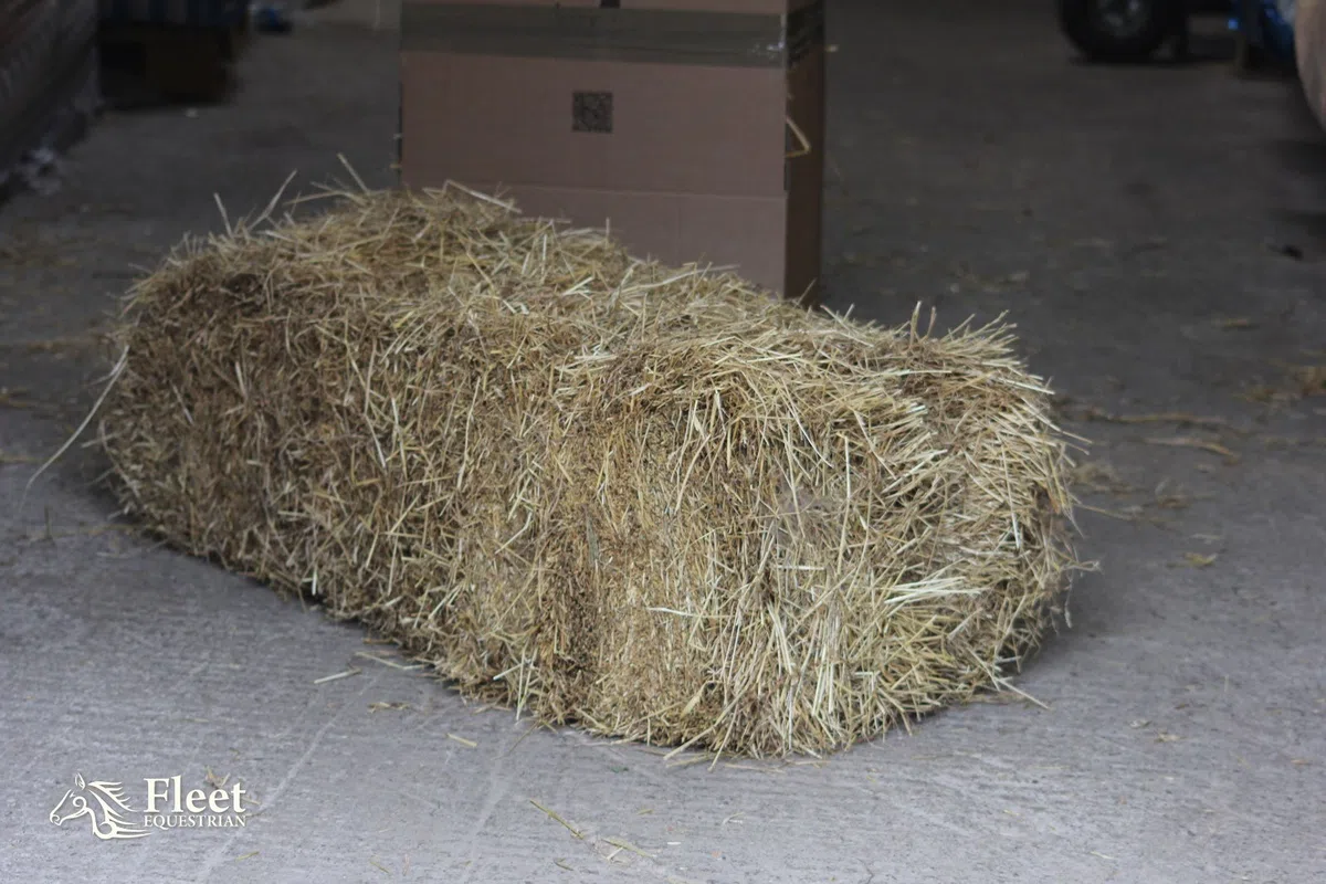 Fleet Farm® Balla di fieno per cavalli, circa 17 – 23 kg / 100 x 50 x 40 cm – in scatola – P&P gratuito