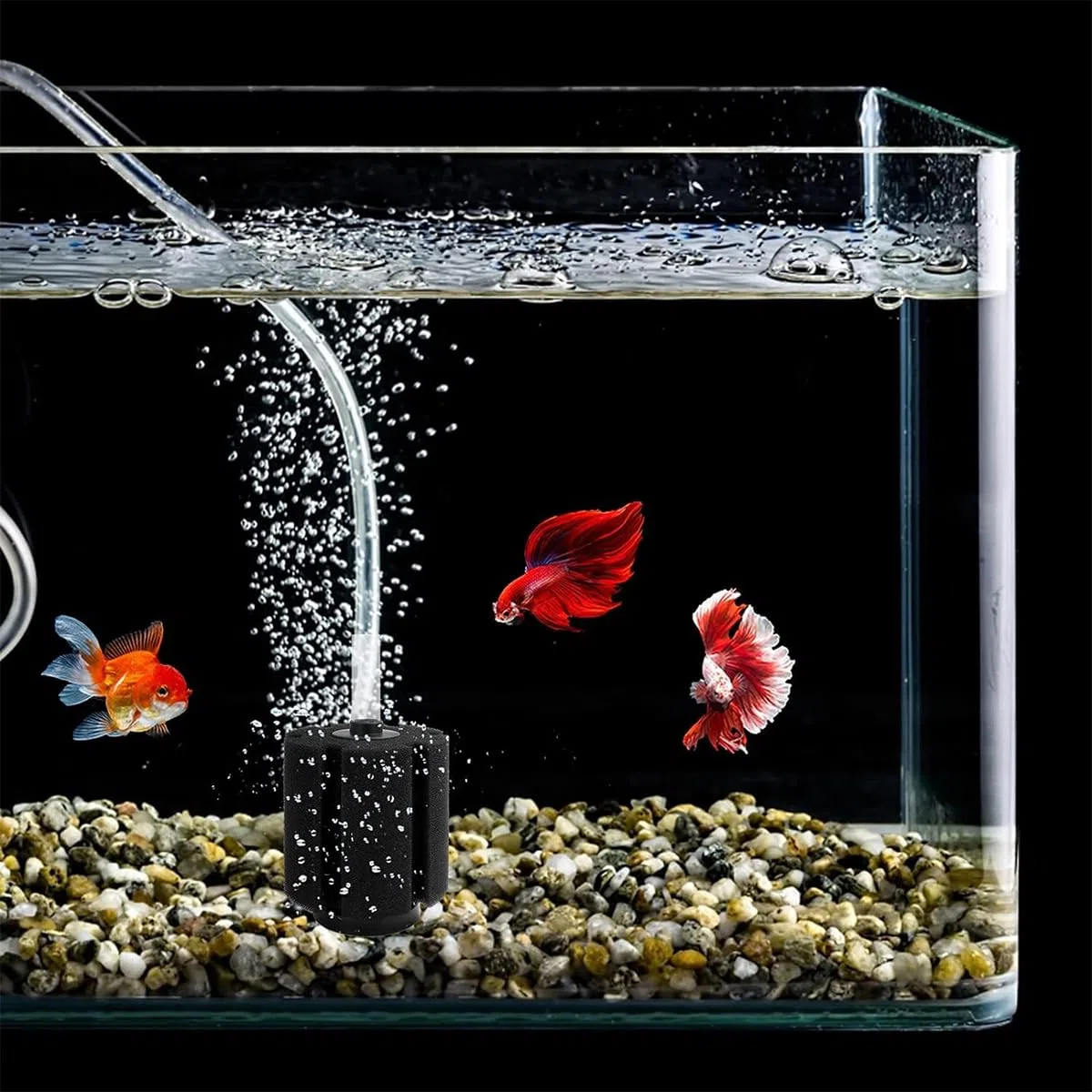 Sarini Filtro Biologico in Spugna Filtro in Spugna per Acquario Grande Filtro in Spugna bio per Acquario Piscina per Acquario Filtro Silenzioso in Spugna biochimica Giovani Filtro per Pesci Piccoli