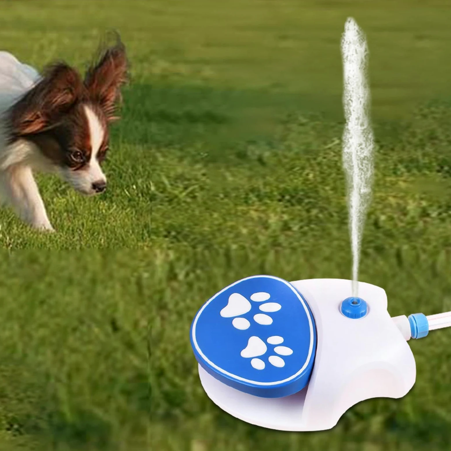 Irrigatore Per Cani Attivato Con La | Dispenser D'Abbeveraggio Per Animali Con Tubo Da 1,62 m - Irrigatore Per Cani Attivato Con La - Esterno Giardino Prato Balcone Estate Calda
