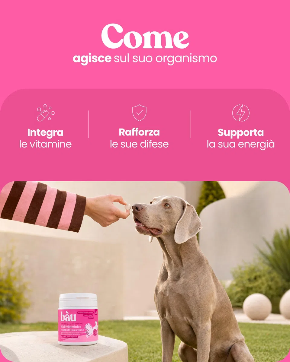Bau Vitamine Cane per Supporto Immunitario in Compresse, Multivitaminico Difese Immunitarie, Energia e Recupero, Vitamine Cani per Dieta BARF, Post-Convalescenza, Vitamine per Cani Anziani -60cps